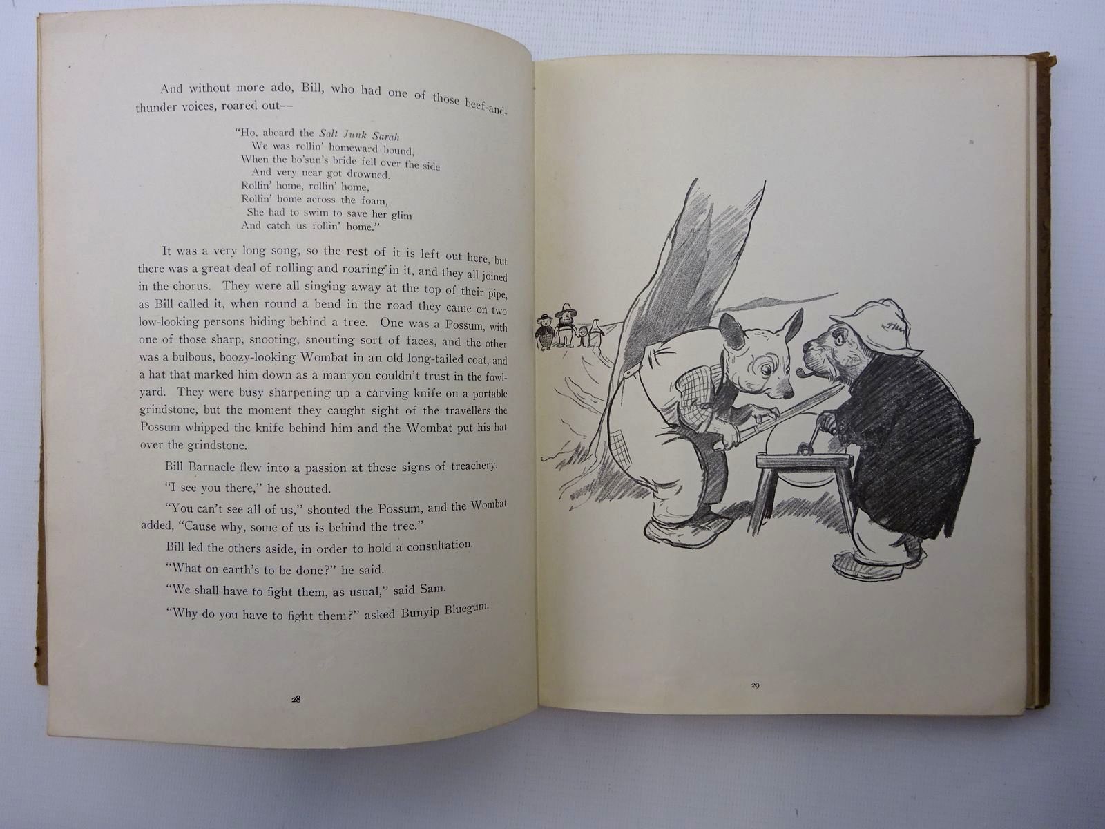 Stella & Rose's Books : THE MAGIC PUDDING Written By Norman Lindsay ...