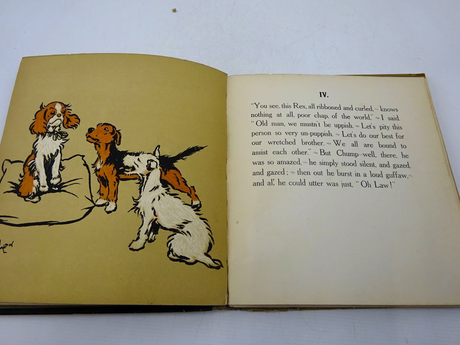 Photo of THE MONGREL PUPPY BOOK written by Aldin, Cecil illustrated by Aldin, Cecil published by Henry Frowde, Hodder & Stoughton (STOCK CODE: 2127769)  for sale by Stella & Rose's Books