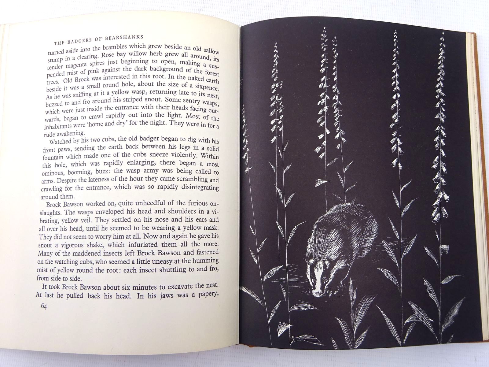 Photo of THE BADGERS OF BEARSHANKS written by BB,  illustrated by BB,  published by Ernest Benn Limited (STOCK CODE: 2128223)  for sale by Stella & Rose's Books
