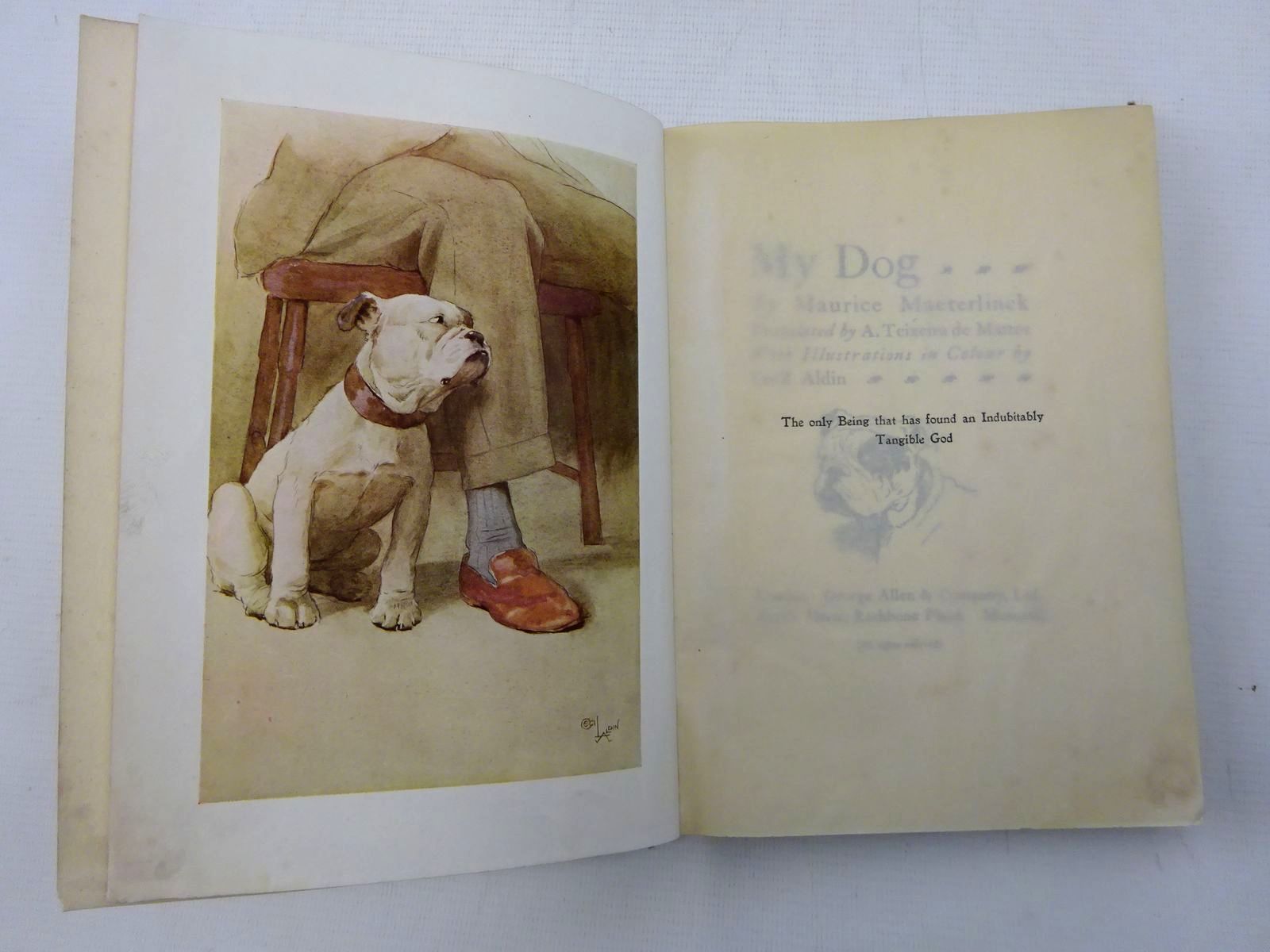 Photo of MY DOG written by Maeterlinck, Maurice illustrated by Aldin, Cecil published by George Allen and Co. Ltd. (STOCK CODE: 2128944)  for sale by Stella & Rose's Books