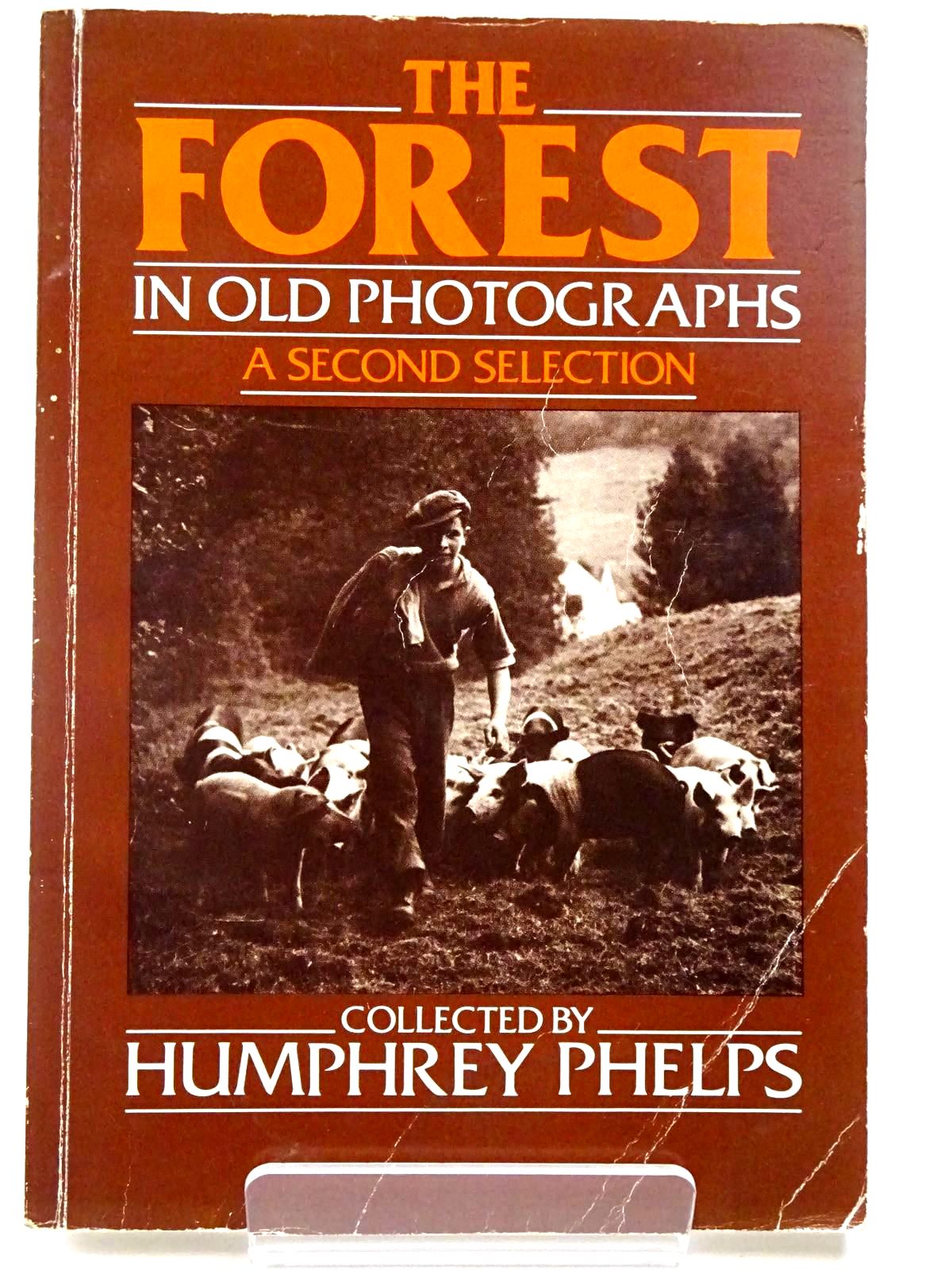 Photo of THE FOREST IN OLD PHOTOGRAPHS A SECOND SELECTION written by Phelps, Humphrey published by Alan Sutton (STOCK CODE: 2129679)  for sale by Stella & Rose's Books