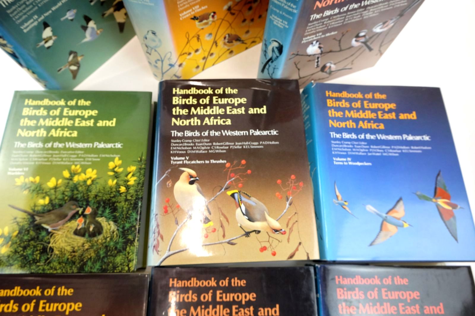 Photo of HANDBOOK OF THE BIRDS OF EUROPE THE MIDDLE EAST AND NORTH AFRICA (9 VOLUMES) written by Cramp, Stanley illustrated by Barruel, Paul
Gillmor, Robert
Hayman, Peter
Scott, Peter
et al.,  published by Oxford University Press (STOCK CODE: 2130562)  for sale by Stella & Rose's Books