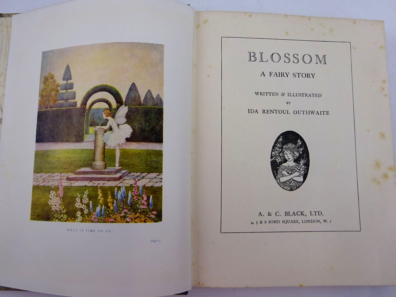 Photo of BLOSSOM A FAIRY STORY written by Outhwaite, Ida Rentoul illustrated by Outhwaite, Ida Rentoul published by A. & C. Black Ltd. (STOCK CODE: 2131326)  for sale by Stella & Rose's Books