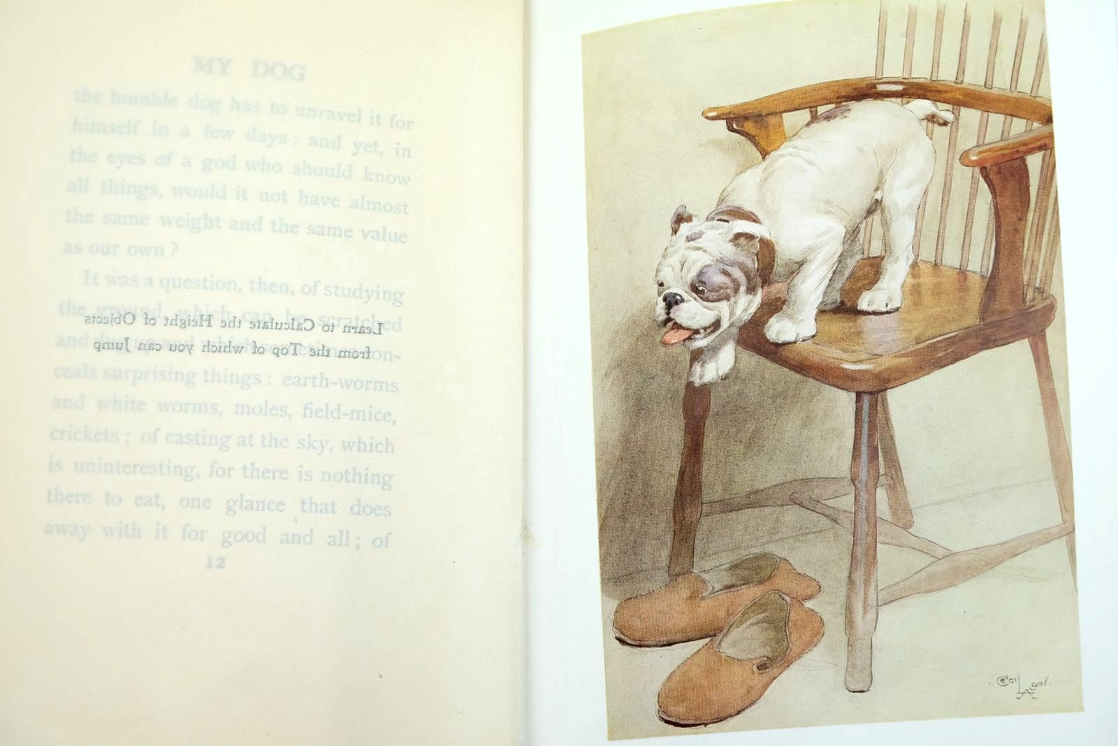 Photo of MY DOG written by Maeterlinck, Maurice illustrated by Aldin, Cecil published by George Allen and Co. Ltd. (STOCK CODE: 2133286)  for sale by Stella & Rose's Books