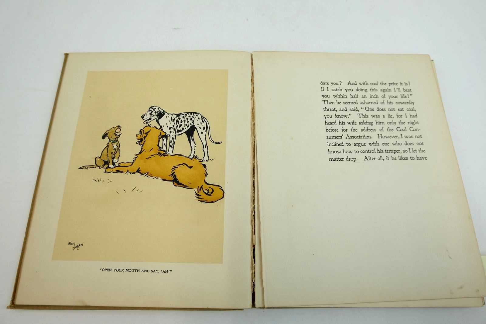 Photo of THE DOG WHO WASN'T WHAT HE THOUGHT HE WAS written by Emanuel, Walter illustrated by Aldin, Cecil published by Raphael Tuck & Sons Ltd. (STOCK CODE: 2134320)  for sale by Stella & Rose's Books