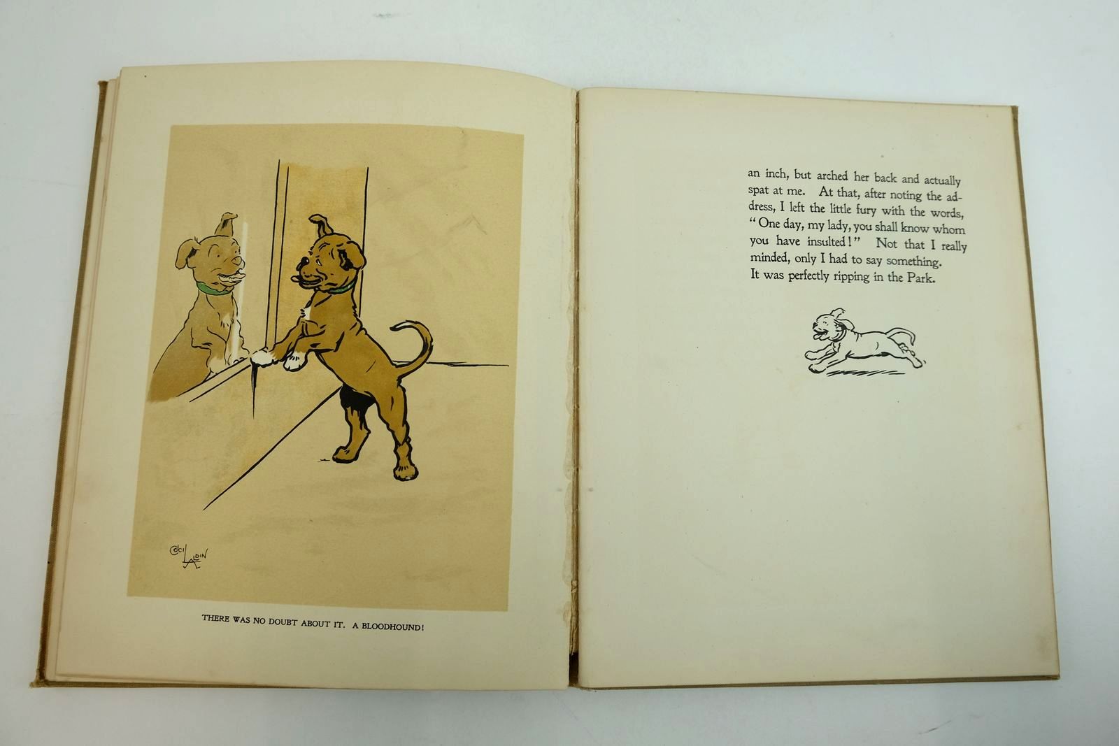 Photo of THE DOG WHO WASN'T WHAT HE THOUGHT HE WAS written by Emanuel, Walter illustrated by Aldin, Cecil published by Raphael Tuck & Sons Ltd. (STOCK CODE: 2134320)  for sale by Stella & Rose's Books