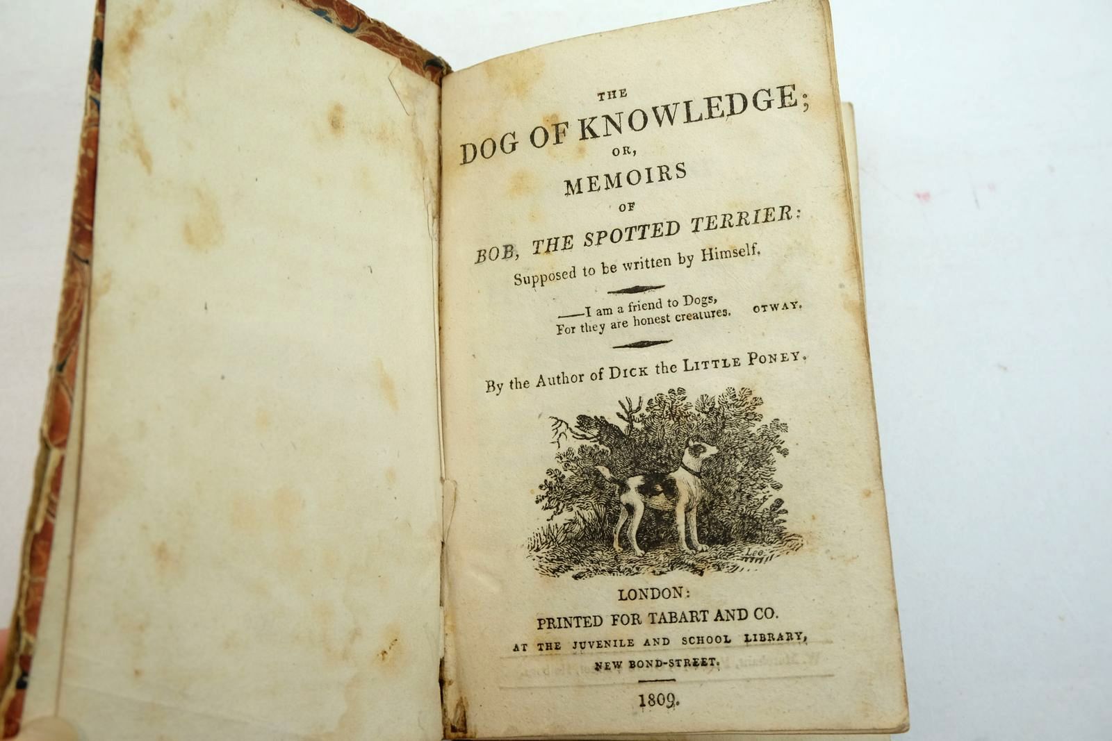 Photo of THE DOG OF KNOWLEDGE; OR, MEMOIRS OF BOB, THE SPOTTED TERRIER (STOCK CODE: 2134927)  for sale by Stella & Rose's Books