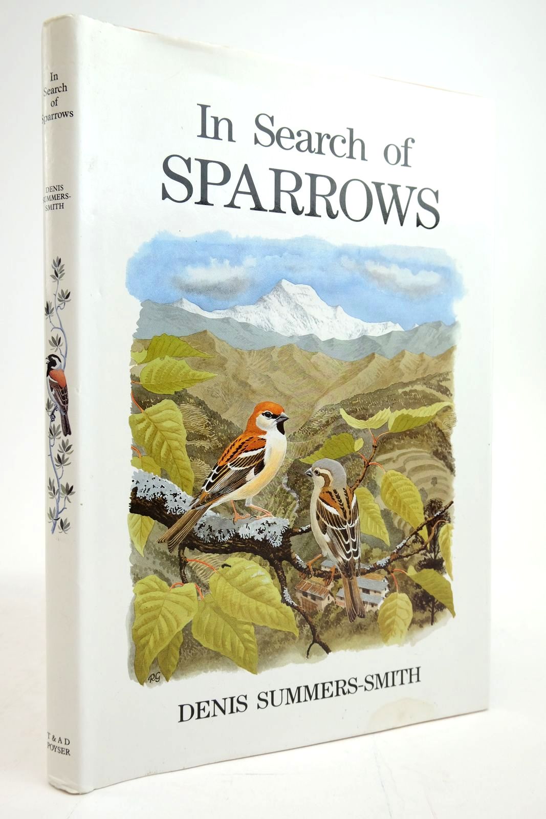 Photo of IN SEARCH OF SPARROWS written by Summers-Smith, J.D. illustrated by Dunn, Euan published by T. &amp; A.D. Poyser (STOCK CODE: 2135326)  for sale by Stella & Rose's Books