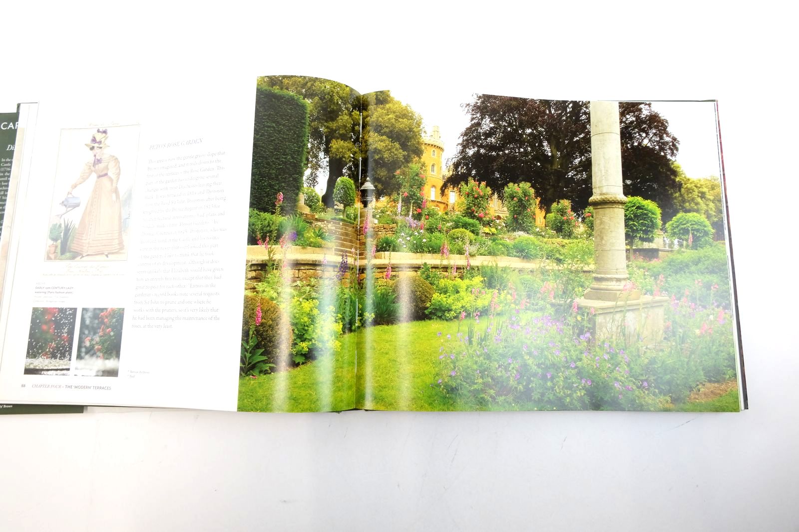 Photo of CAPABILITY BROWN & BELVOIR: DISCOVERING A LOST LANDSCAPE written by Rutland, Duchess of
Pruden, Jane
Titchmarsh, Alan published by Nick McCann Associates Ltd (STOCK CODE: 2135362)  for sale by Stella & Rose's Books