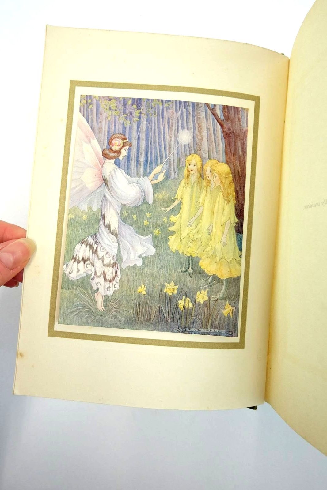 Photo of STORIES TOLD TO CHILDREN written by Fairless, Michael illustrated by White, Flora published by Duckworth & Co. (STOCK CODE: 2135604)  for sale by Stella & Rose's Books