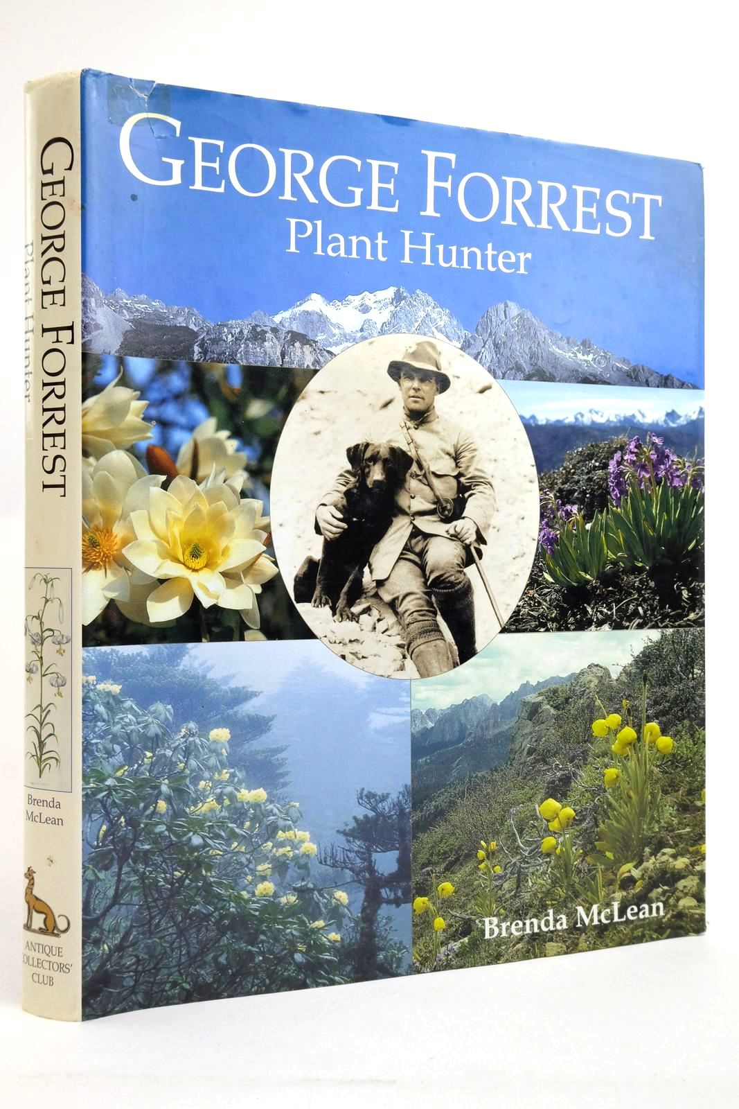 Photo of GEORGE FORREST: PLANT HUNTER- Stock Number: 2135833