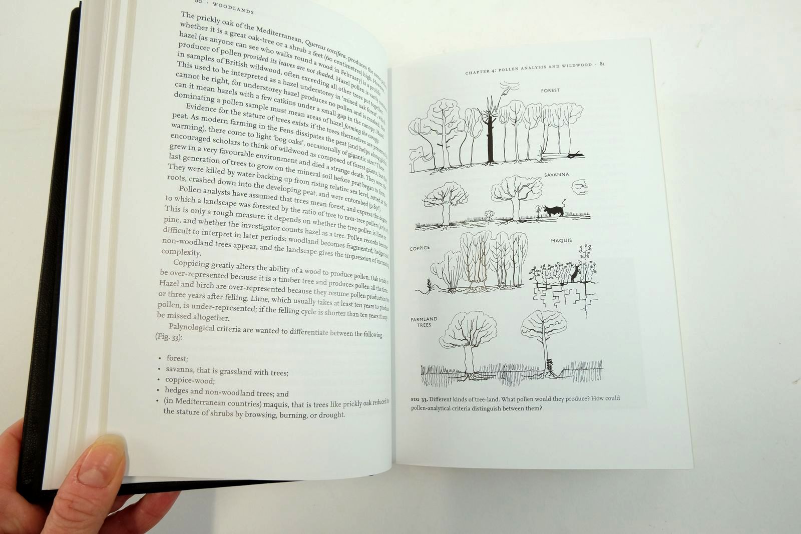 Photo of WOODLANDS (NN 100) written by Rackham, Oliver published by Collins (STOCK CODE: 2135915)  for sale by Stella & Rose's Books