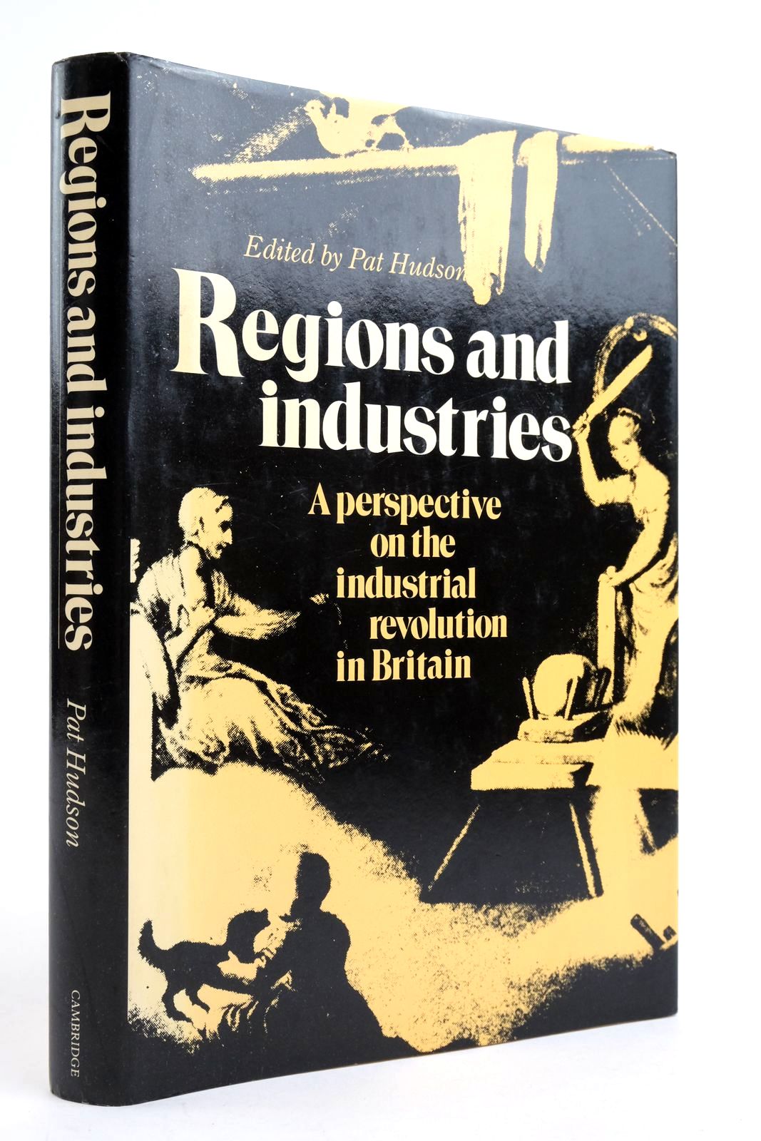 Photo of REGIONS AND INDUSTRIES: A PERSPECTIVE ON THE INDUSTRIAL REVOLUTION IN BRITAIN written by Hudson, Pat published by Cambridge University Press (STOCK CODE: 2135924)  for sale by Stella & Rose's Books