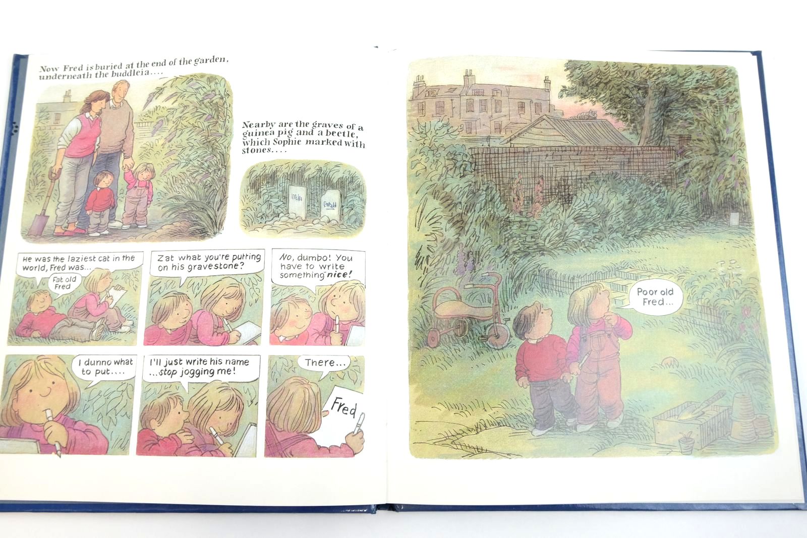 Photo of FRED written by Simmonds, Posy illustrated by Simmonds, Posy published by Jonathan Cape (STOCK CODE: 2135983)  for sale by Stella & Rose's Books