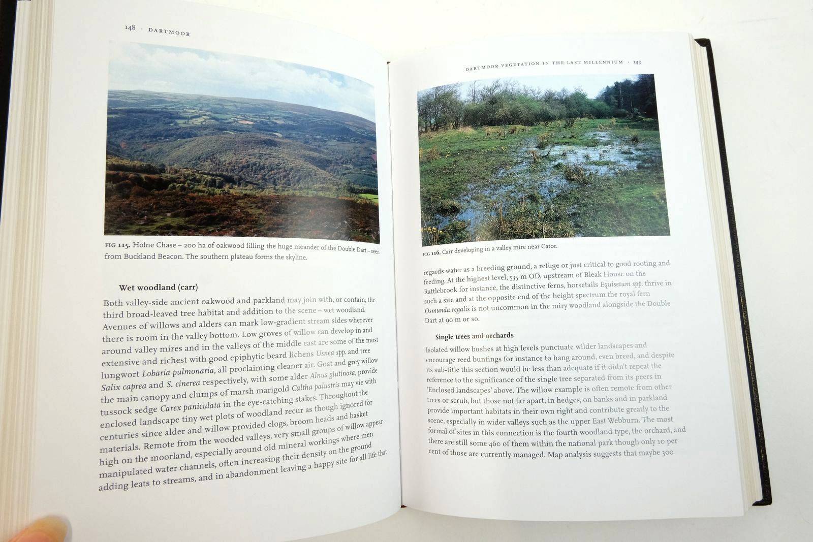 Photo of DARTMOOR: A STATEMENT OF ITS TIME (NN 111) written by Mercer, Ian published by Collins (STOCK CODE: 2135985)  for sale by Stella & Rose's Books