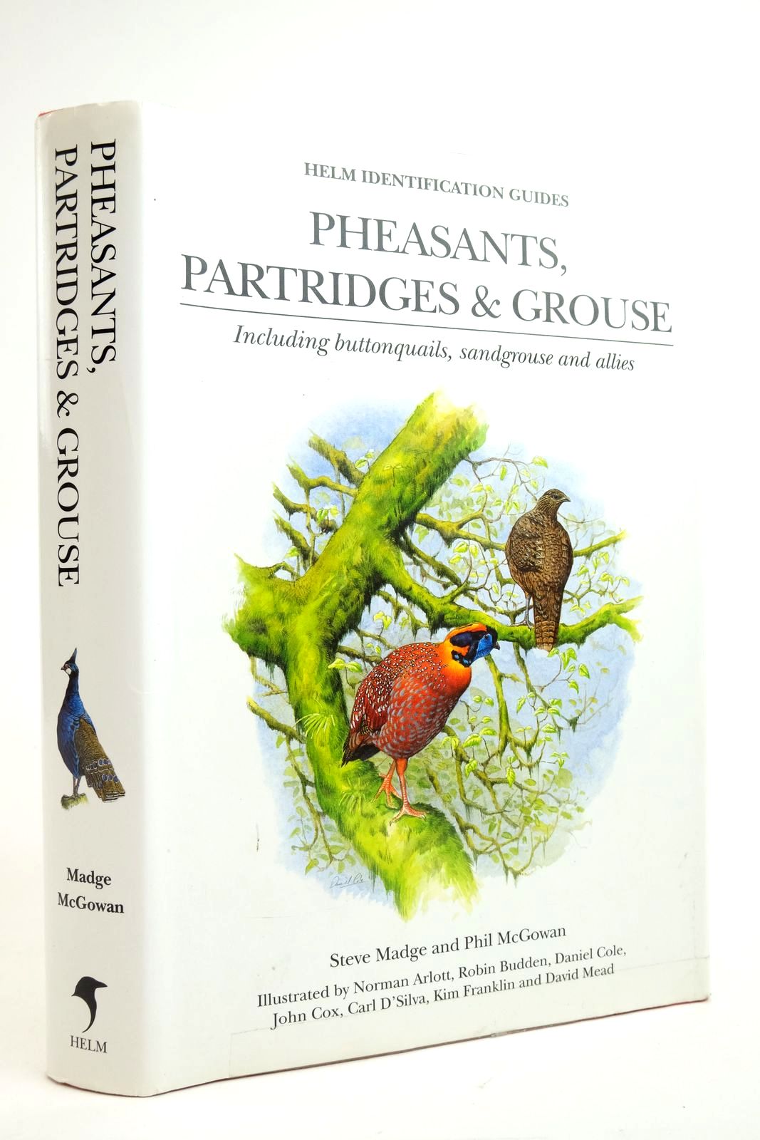 Photo of PHEASANTS, PARTRIDGES AND GROUSE (HELM IDENTIFICATION GUIDES) written by Madge, Steve Mcgowan, Phil illustrated by Arlott, Norman et al.,  published by Christopher Helm (STOCK CODE: 2136048)  for sale by Stella & Rose's Books