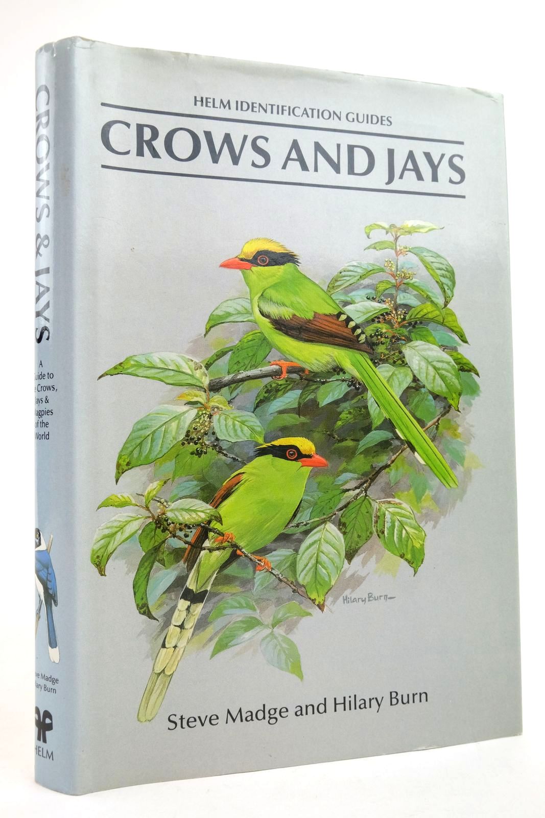 Photo of CROWS AND JAYS (HELM IDENTIFICATION GUIDES) written by Madge, Steve illustrated by Burn, Hilary published by Christopher Helm, A. & C. Black Ltd. (STOCK CODE: 2136049)  for sale by Stella & Rose's Books