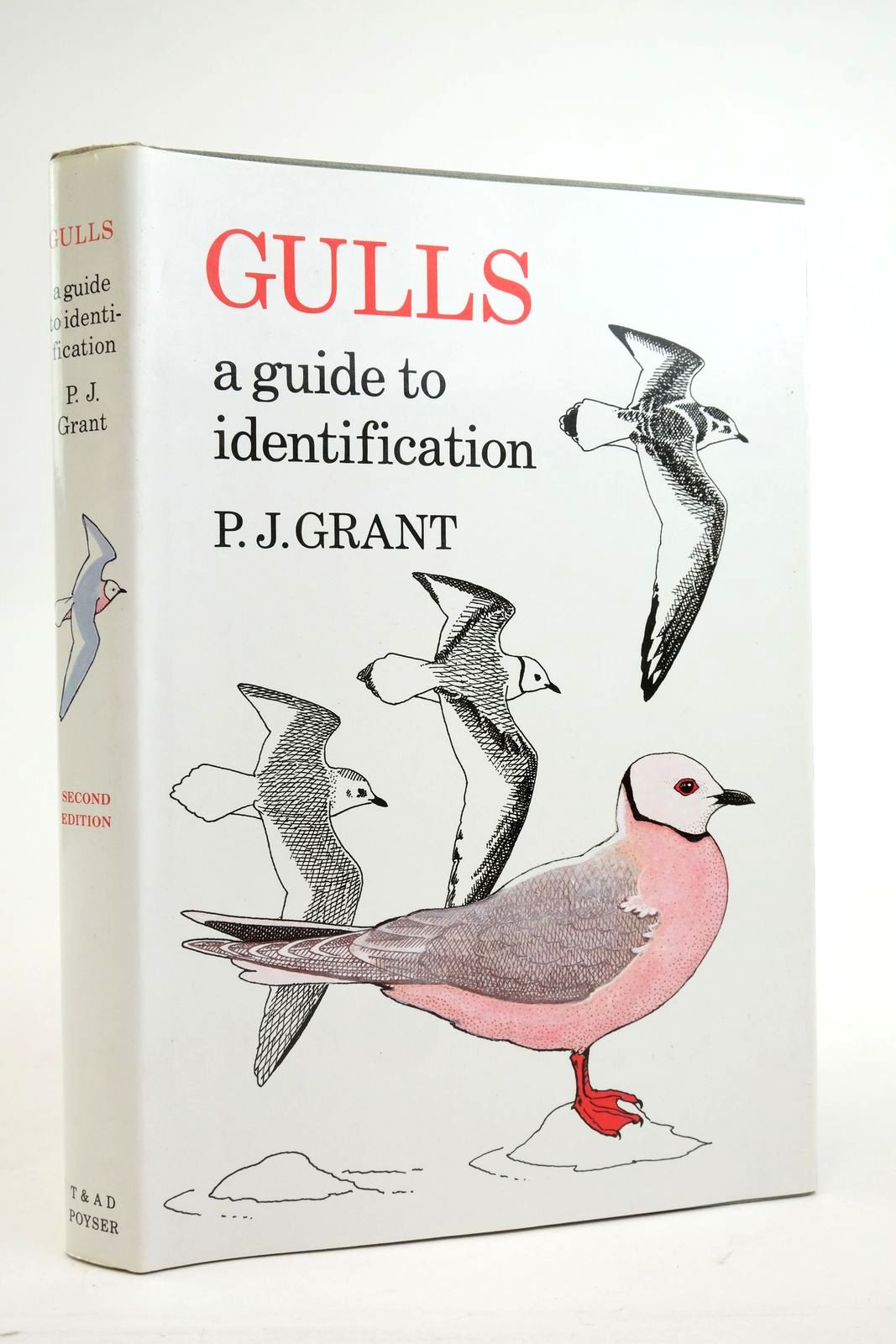 Photo of GULLS A GUIDE TO IDENTIFICATION- Stock Number: 2136319