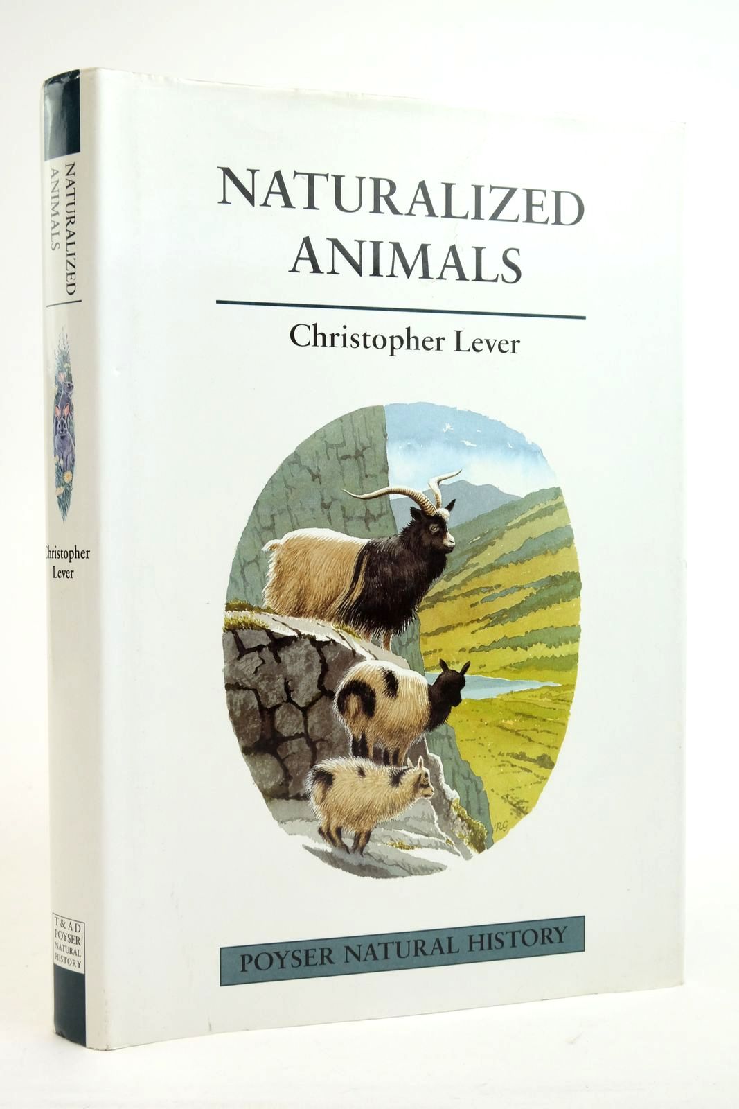 Photo of NATURALIZED ANIMALS: THE ECOLOGY OF SUCCESSFULLY INTRODUCED SPECIES written by Lever, Christopher illustrated by Gillmor, Robert published by T. &amp; A.D. Poyser (STOCK CODE: 2136324)  for sale by Stella & Rose's Books