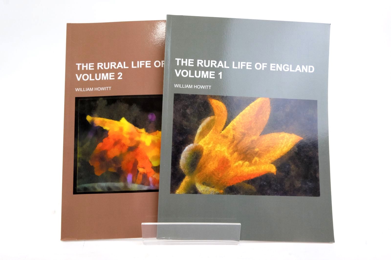 Photo of THE RURAL LIFE OF ENGLAND (2 VOLUMES) written by Howitt, William published by Lightning Source Uk Ltd (STOCK CODE: 2136376)  for sale by Stella & Rose's Books