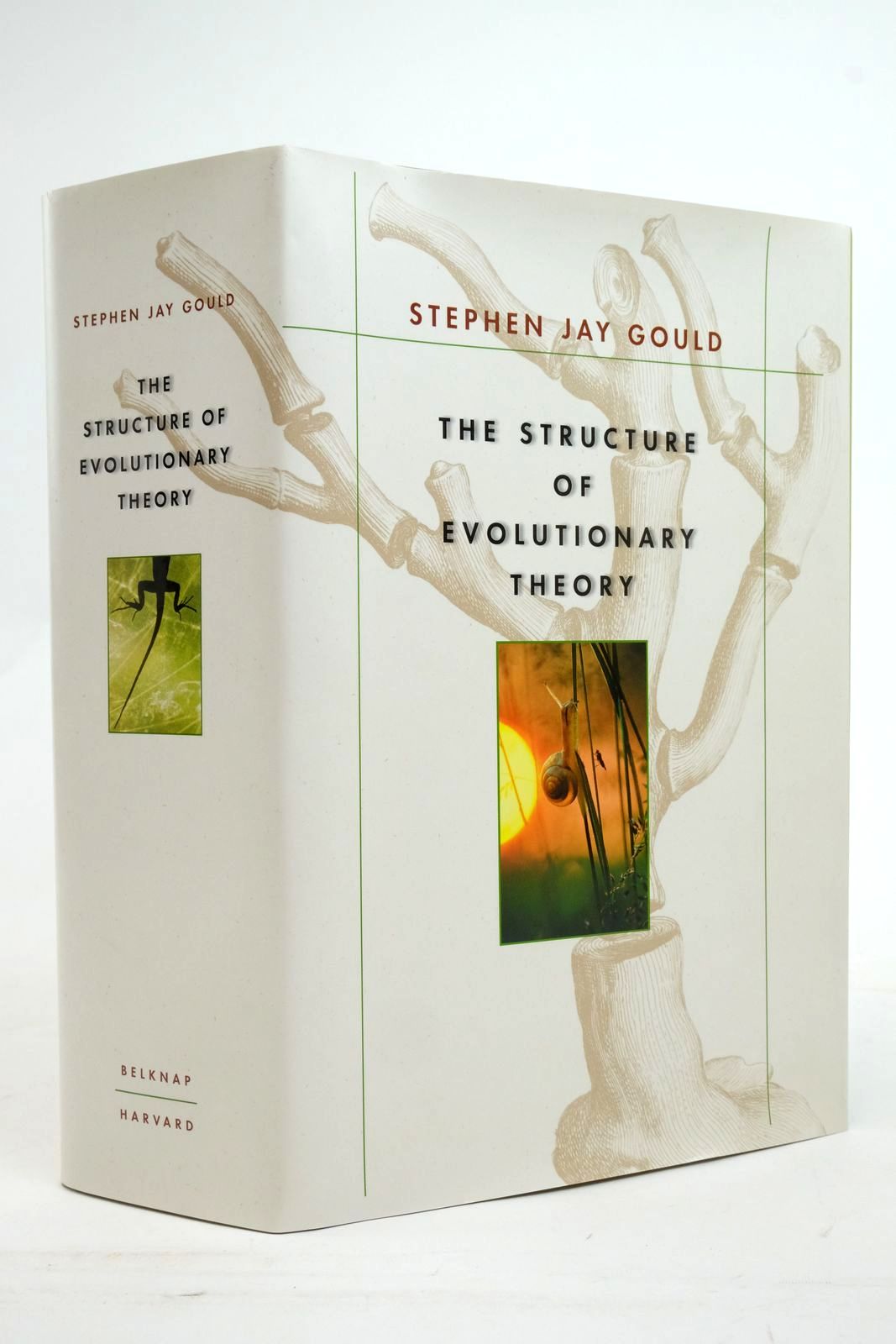 Photo of THE STRUCTURE OF EVOLUTIONARY THEORY written by Gould, Stephen Jay published by Belknap Press (STOCK CODE: 2136705)  for sale by Stella & Rose's Books