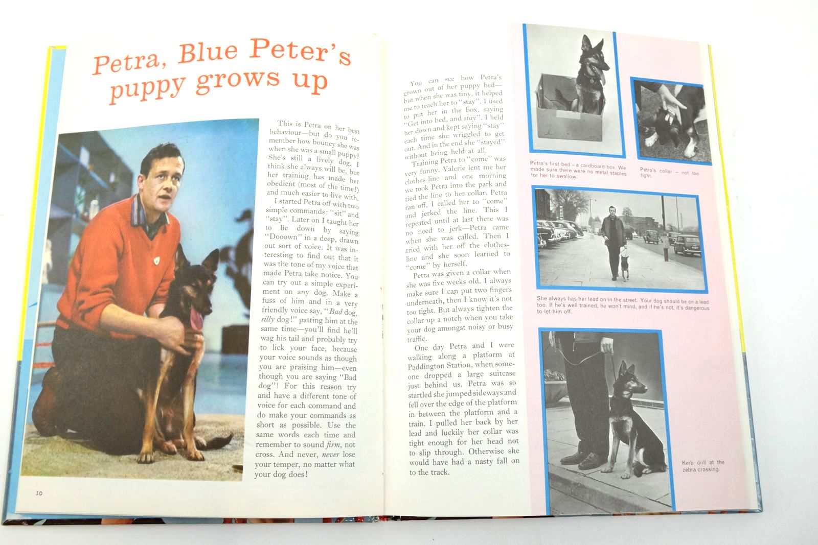 Photo of BLUE PETER ANNUAL No. 1 published by Lutterworth Press, BBC (STOCK CODE: 2137916)  for sale by Stella & Rose's Books