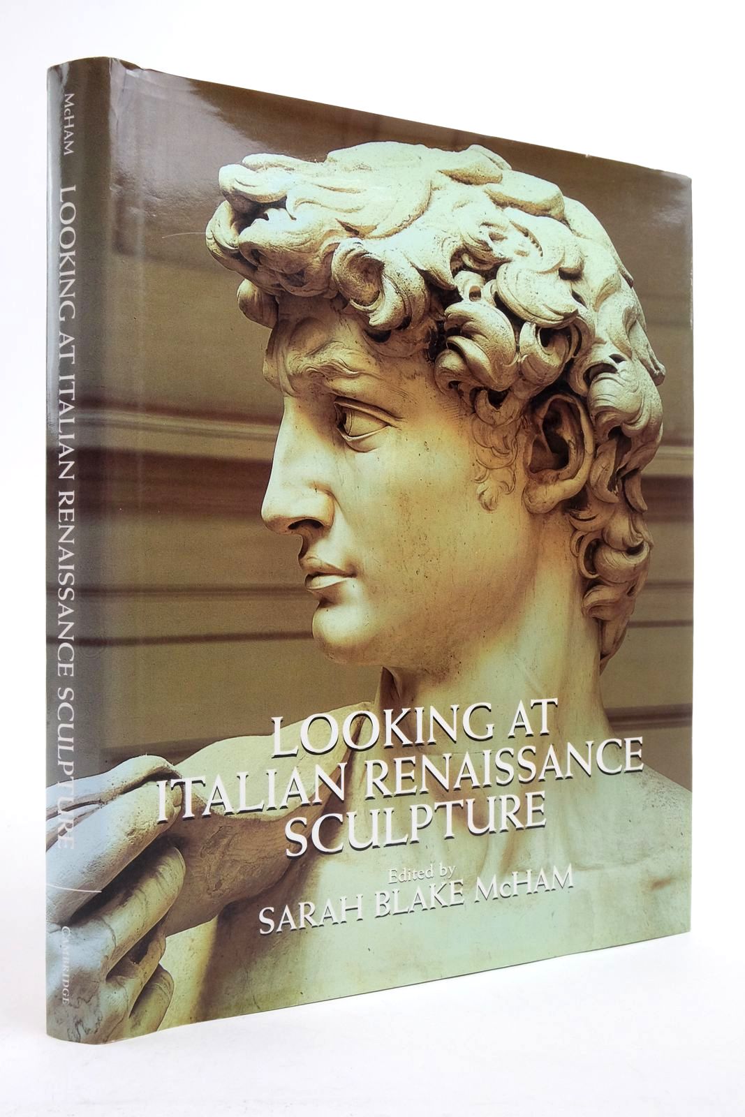 Photo of LOOKING AT ITALIAN RENAISSANCE SCULPTURE written by McHam, Sarah Blake published by Cambridge University Press (STOCK CODE: 2138921)  for sale by Stella & Rose's Books