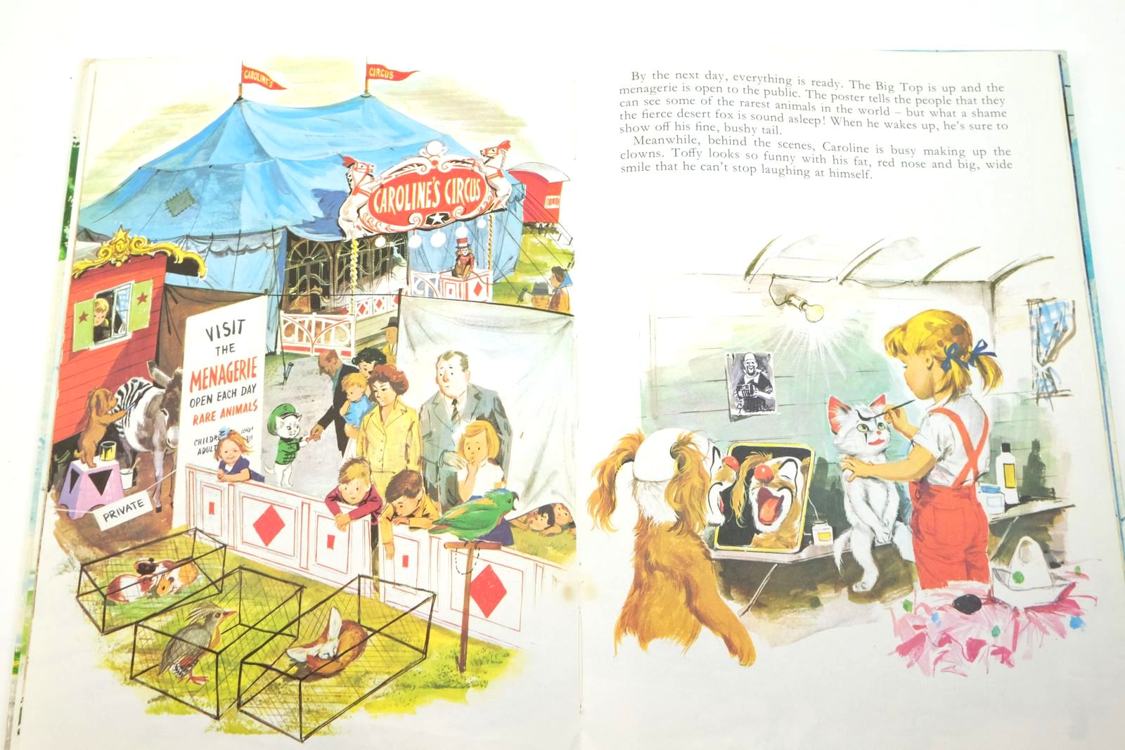 Photo of CAROLINE'S CIRCUS written by Carruth, Jane illustrated by Probst, Peter published by Collins (STOCK CODE: 2138937)  for sale by Stella & Rose's Books