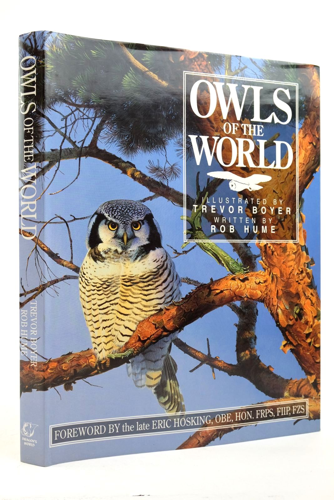 Photo of OWLS OF THE WORLD- Stock Number: 2139084