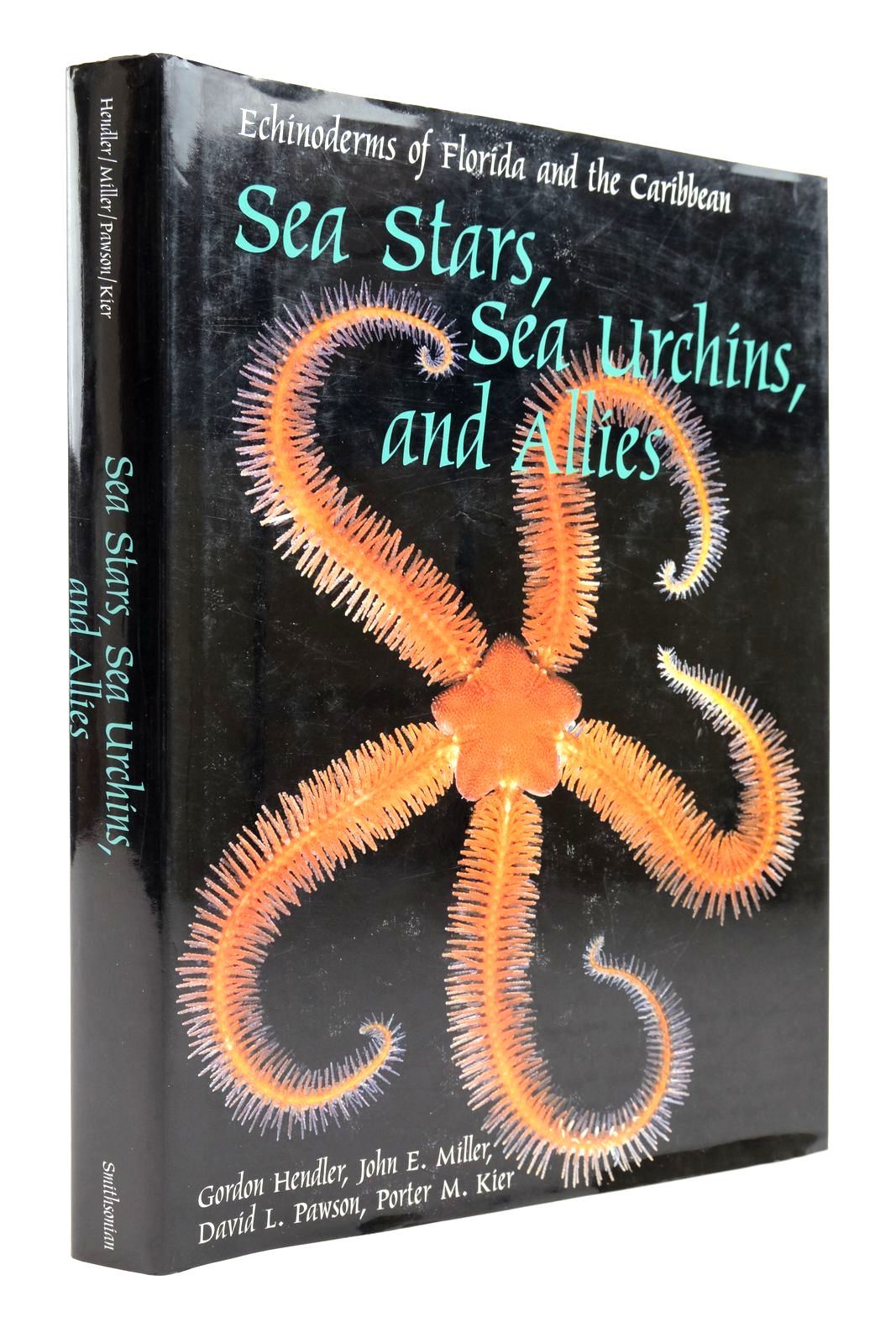 Photo of SEA STARS, SEA URCHINS, AND ALLIES: ACHINODERMS OF FLORIDA AND THE CARIBBEAN- Stock Number: 2139131