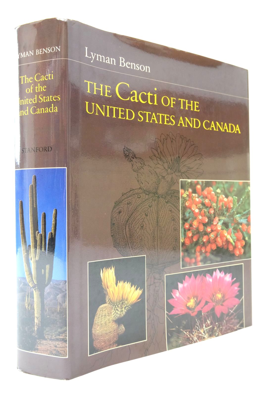 Photo of THE CACTI OF THE UNITED STATES AND CANADA written by Benson, Lyman illustrated by Hamilton, Lucretia Breazeale published by Stanford University Press (STOCK CODE: 2139157)  for sale by Stella & Rose's Books