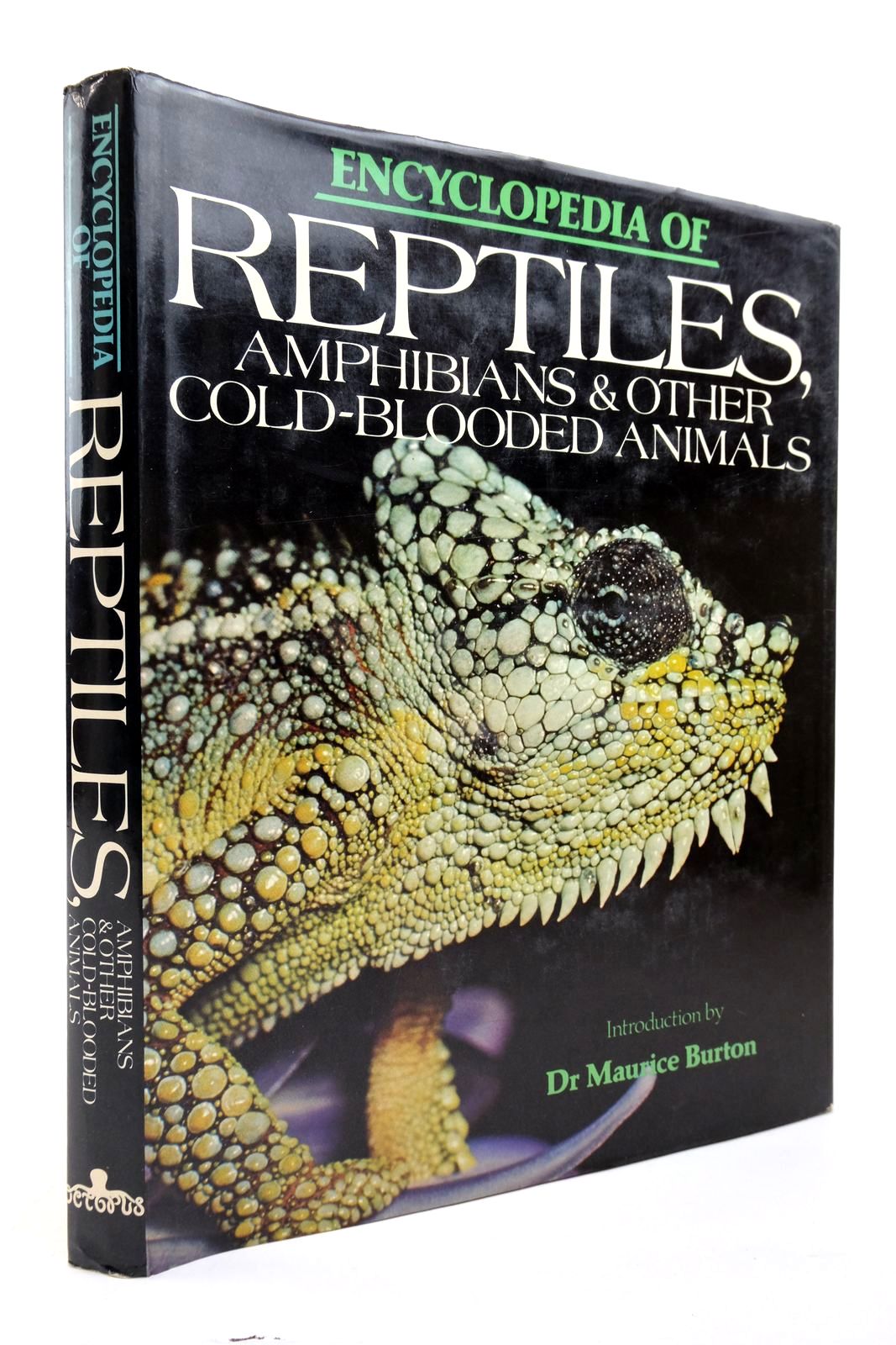 Photo of ENCYCLOPEDIA OF REPTILES, AMPHIBIANS &amp; OTHER COLD-BLOODED ANIMALS written by Burton, Maurice published by Octopus Books Ltd. (STOCK CODE: 2139211)  for sale by Stella & Rose's Books