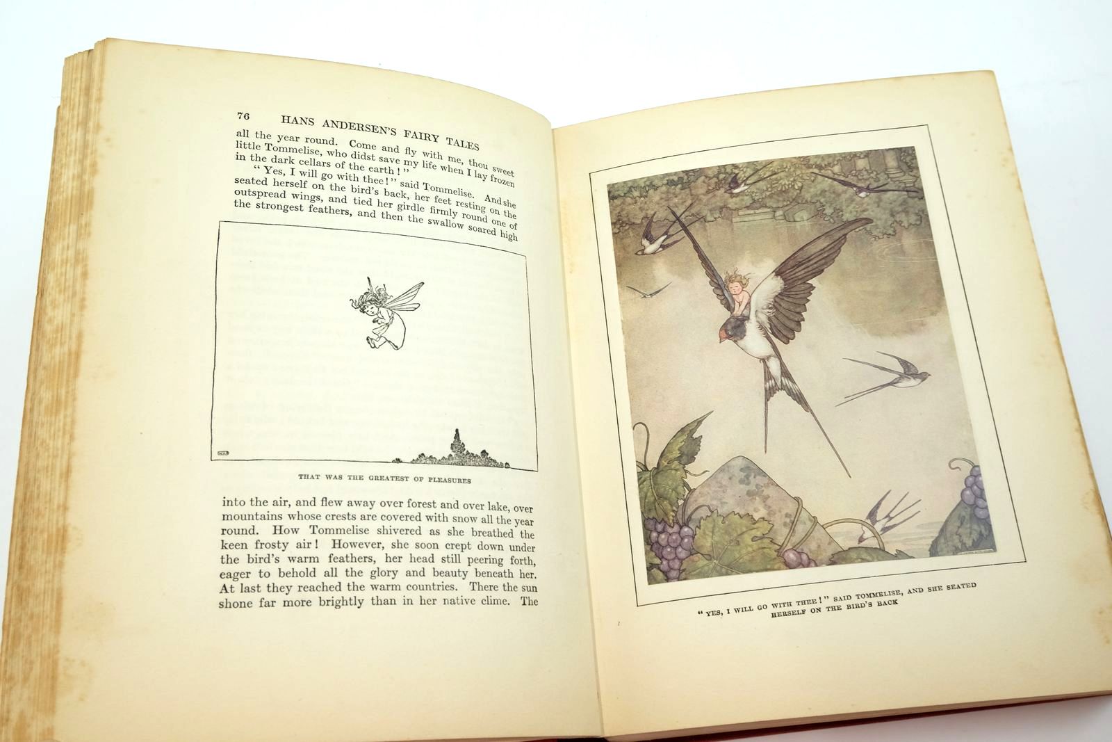 Photo of HANS ANDERSEN'S FAIRY TALES written by Andersen, Hans Christian illustrated by Robinson, W. Heath published by Hodder & Stoughton, Boots the Chemists (STOCK CODE: 2139410)  for sale by Stella & Rose's Books