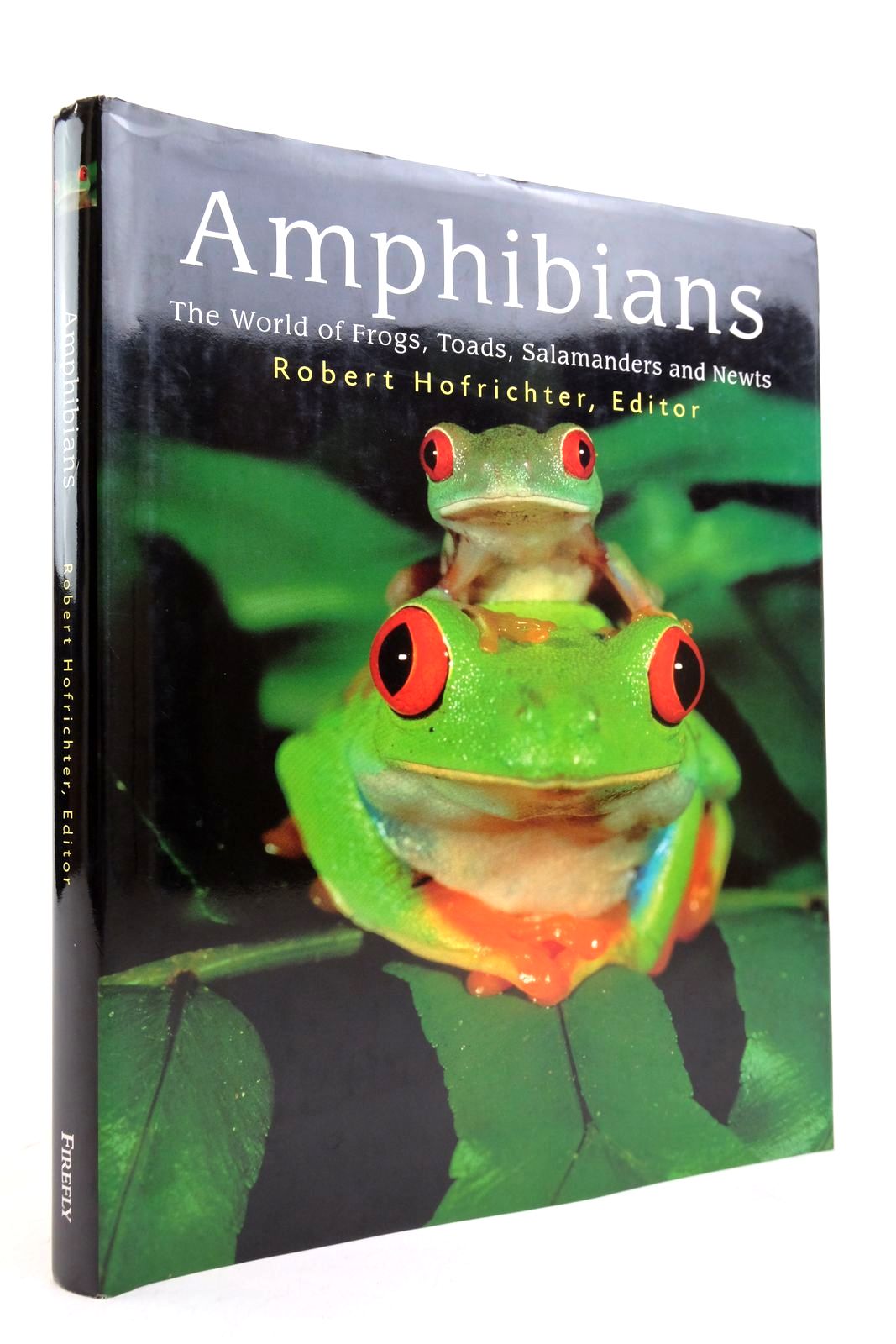 Photo of AMPHIBIANS: THE WORLD OF FROGS, TOADS, SLAMANDERS AND NEWTS written by Hofrichter, Robert published by Firefly Books (u.S.) Inc. (STOCK CODE: 2139443)  for sale by Stella & Rose's Books