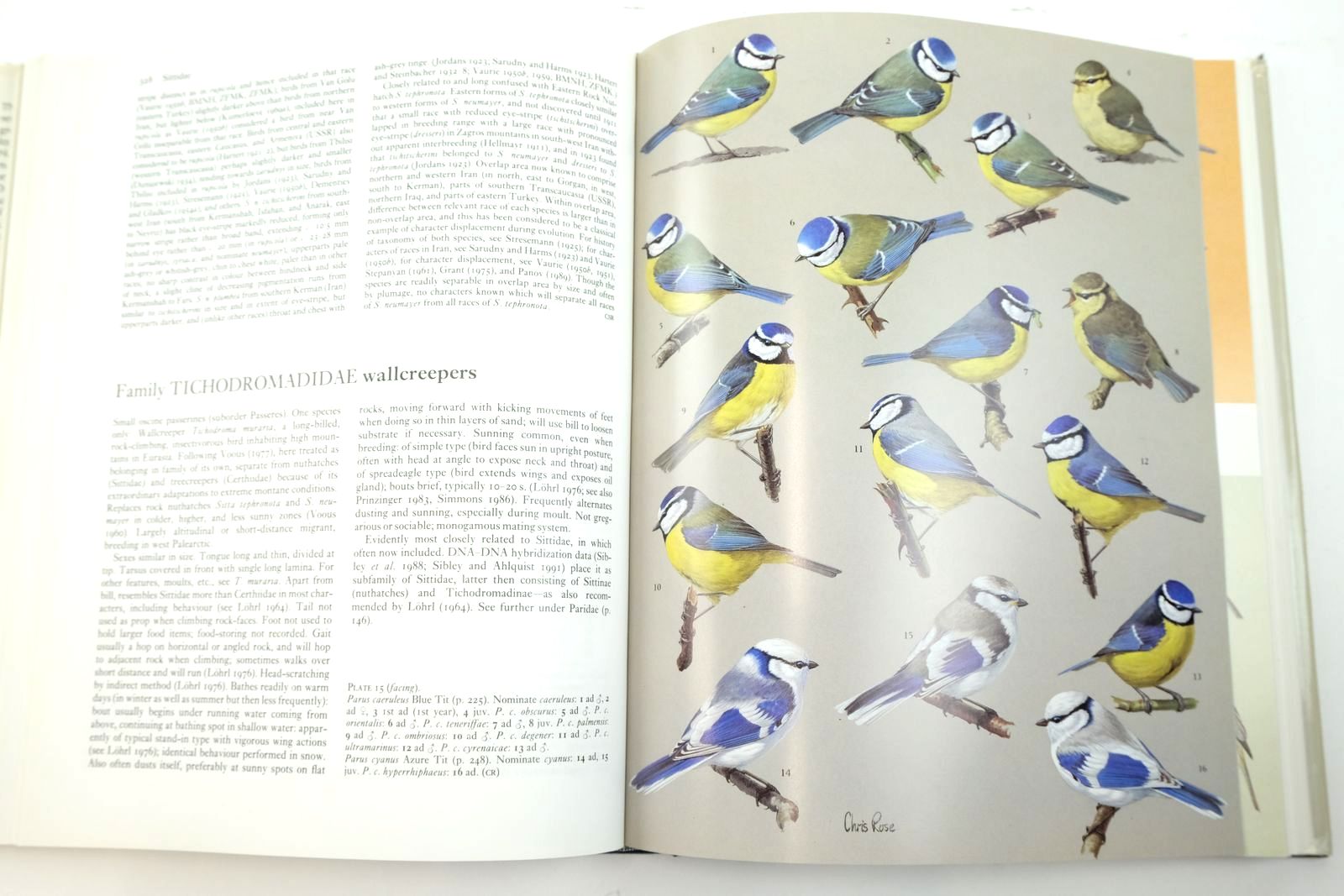 Photo of HANDBOOK OF THE BIRDS OF EUROPE THE MIDDLE EAST AND NORTH AFRICA VOLUME VII FLYCATCHERS TO SHRIKES written by Cramp, Stanley
et al,  published by Oxford University Press (STOCK CODE: 2139517)  for sale by Stella & Rose's Books