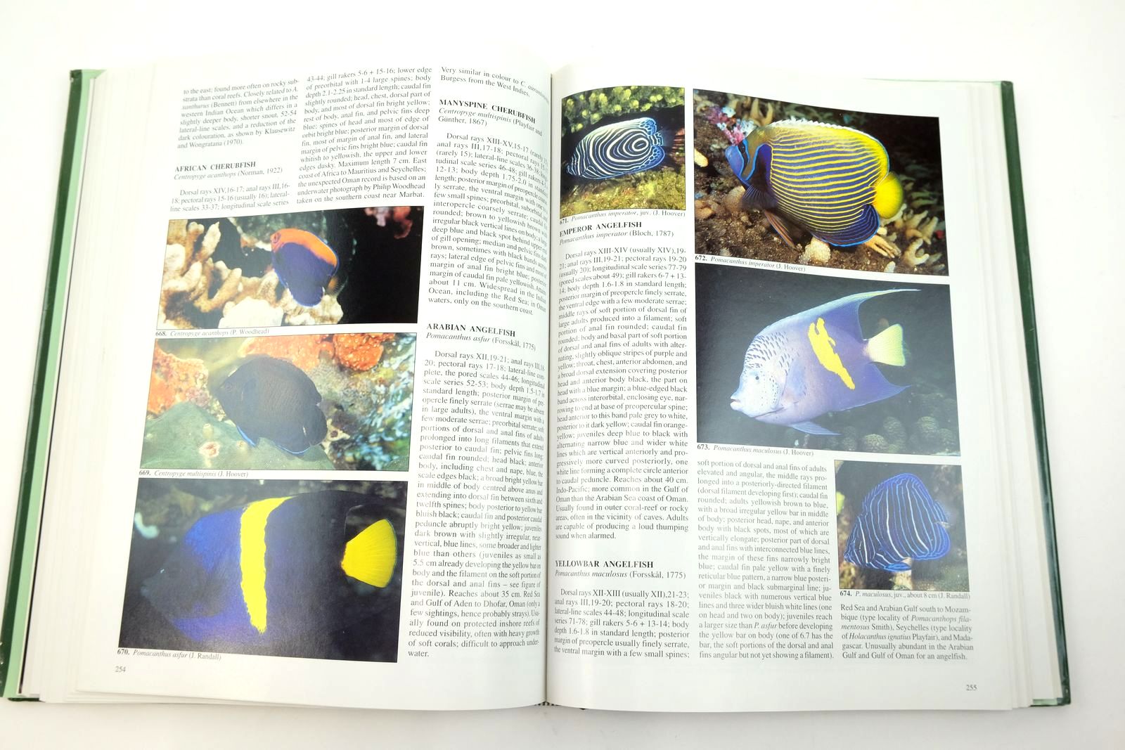 Photo of COASTAL FISHES OF OMAN written by Randall, John E. published by Crawford House Publishing (STOCK CODE: 2139610)  for sale by Stella & Rose's Books