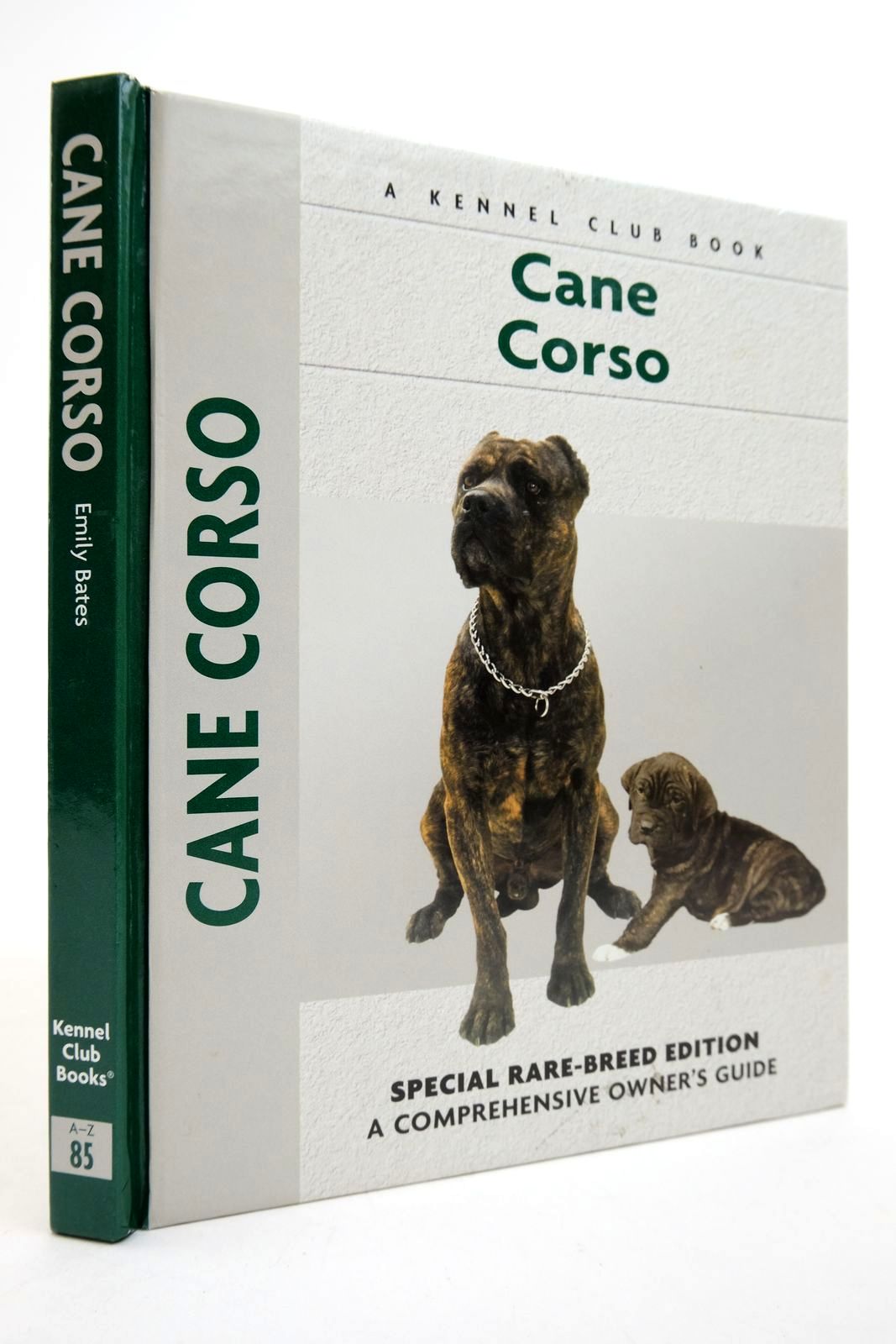 Photo of CANE CORSO- Stock Number: 2139620