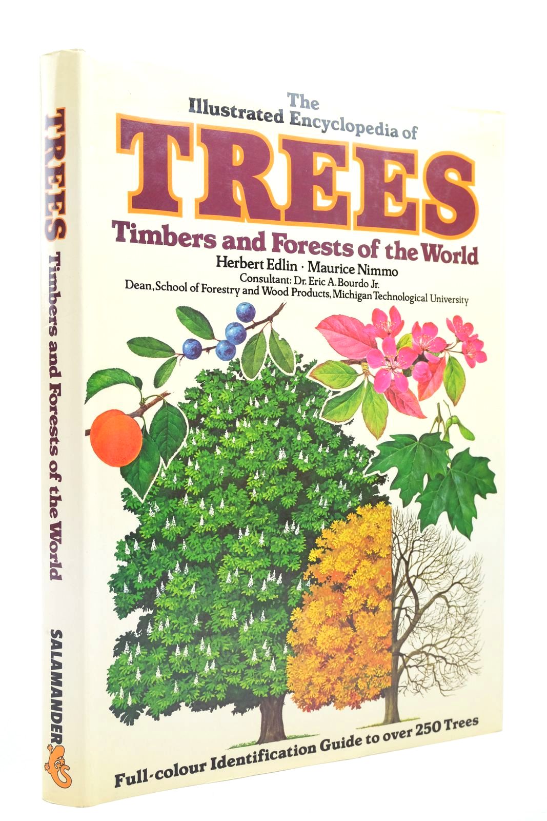Photo of THE ILLUSTRATED ENCYCLOPEDIA OF TREES: TIMBERS AND FORESTS OF THE WORLD written by Edlin, Herbert Nimmo, Maurice et al, illustrated by Garrard, Ian Beasley, Olivia Nockels, David published by Salamander Books Ltd (STOCK CODE: 2139632)  for sale by Stella & Rose's Books