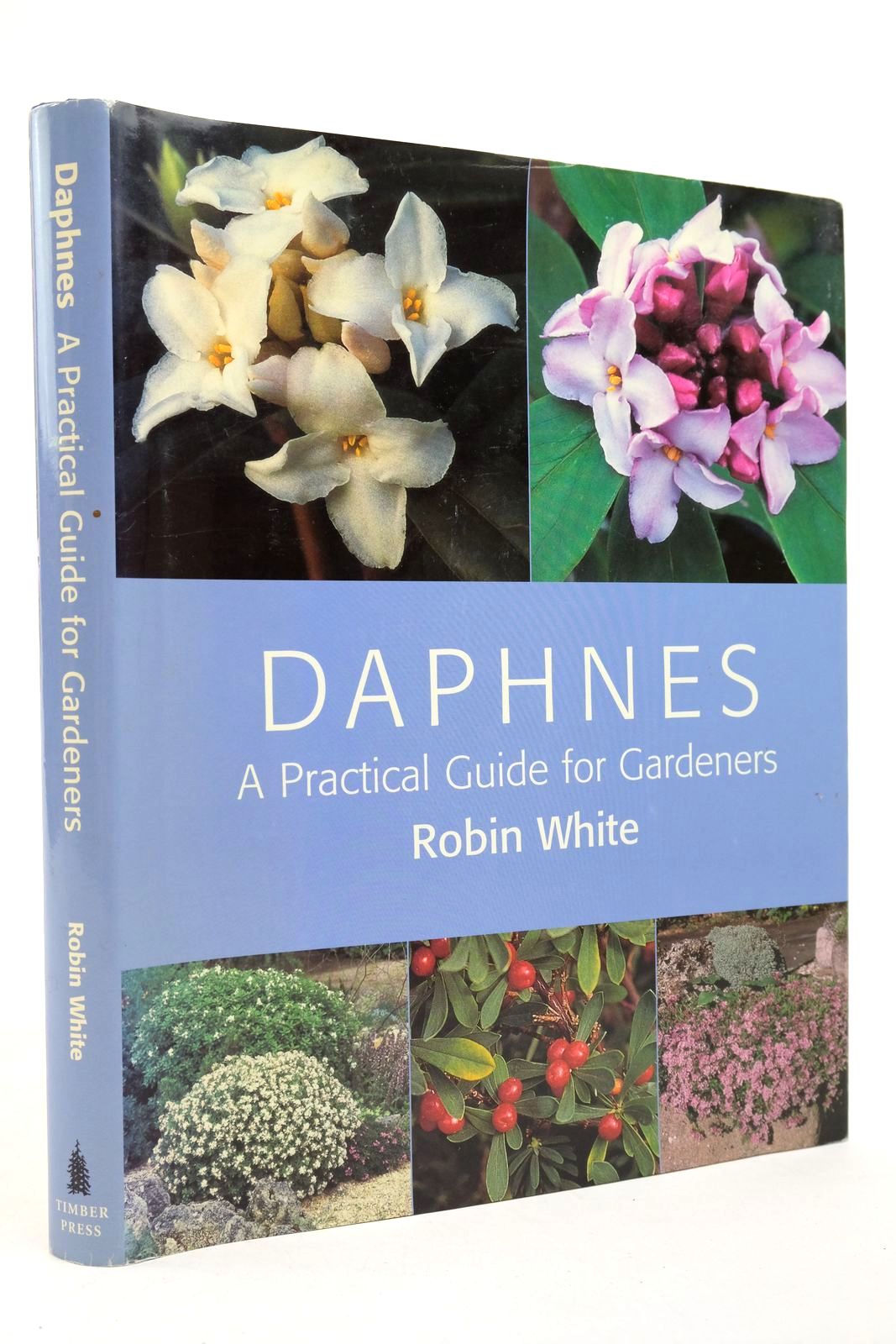 Photo of DAPHNES: A PRACTICAL GUIDE FOR GARDENERS written by White, Robin published by Timber Press (STOCK CODE: 2139734)  for sale by Stella & Rose's Books