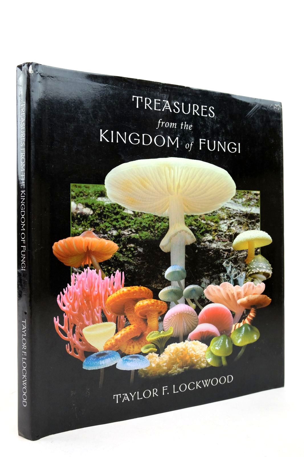 Photo of TREASURES FROM THE KINGDOM OF FUNGI- Stock Number: 2139750