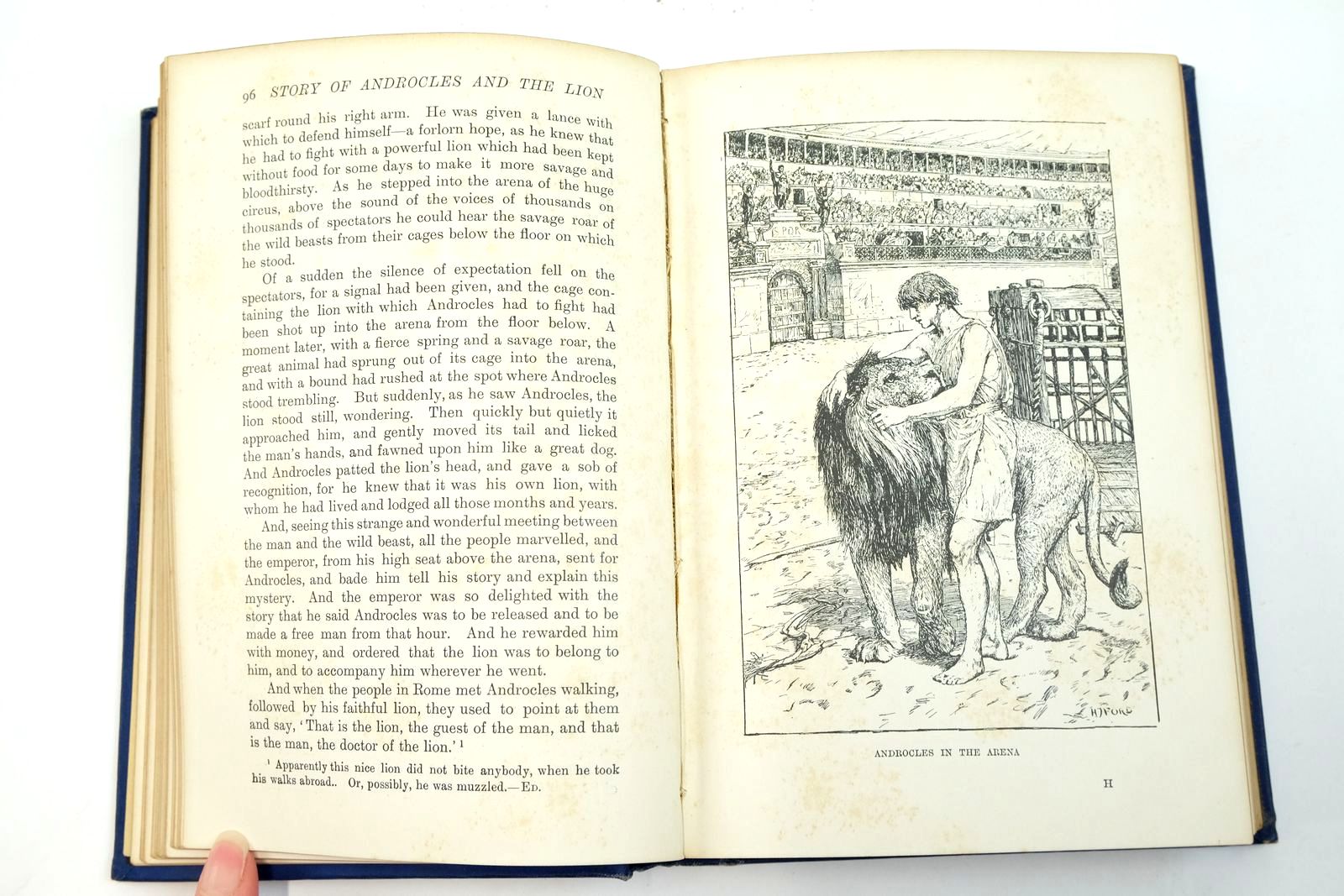 Photo of THE ANIMAL STORY BOOK written by Lang, Andrew illustrated by Ford, H.J. published by Longmans, Green & Co. (STOCK CODE: 2139756)  for sale by Stella & Rose's Books