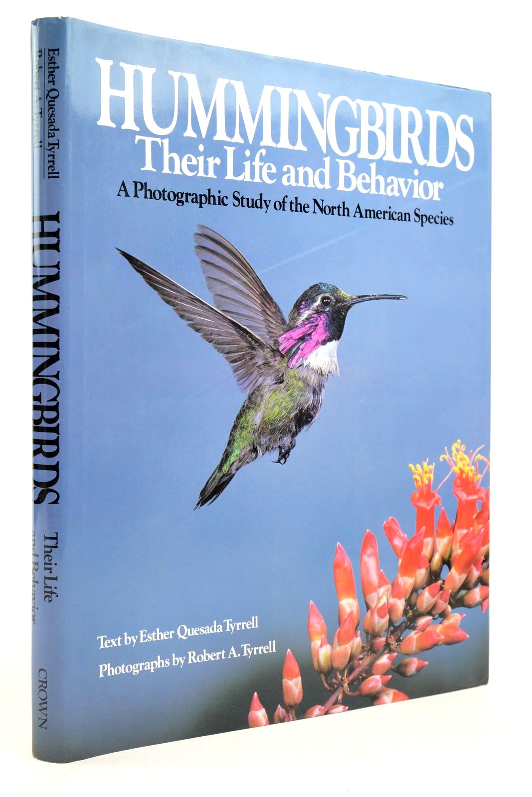 Photo of HUMMINGBIRDS: THEIR LIFE AND BEHAVIOUR- Stock Number: 2139783