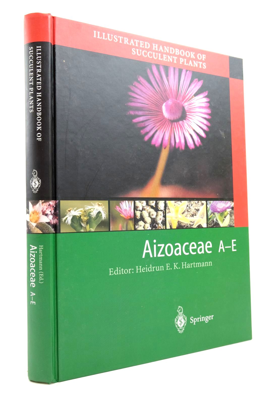 Photo of ILLUSTRATED HANDBOOK OF SUCCULENT PLANTS: AIZOACEAE A-E written by Hartmann, Heidrun E.K. published by Springer-Verlag (STOCK CODE: 2139827)  for sale by Stella & Rose's Books