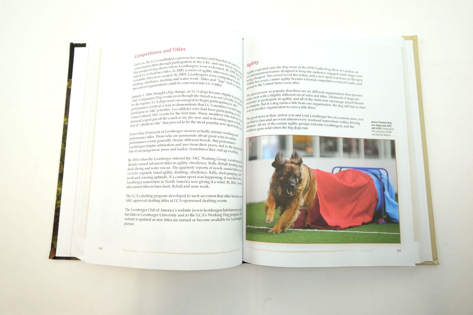 Photo of THE LEONBERGER: A COMPREHENSIVE GUIDE TO THE LION KING OF BREEDS written by Bliss-Isberg, Caroline published by Revodana Publishing (STOCK CODE: 2140076)  for sale by Stella & Rose's Books