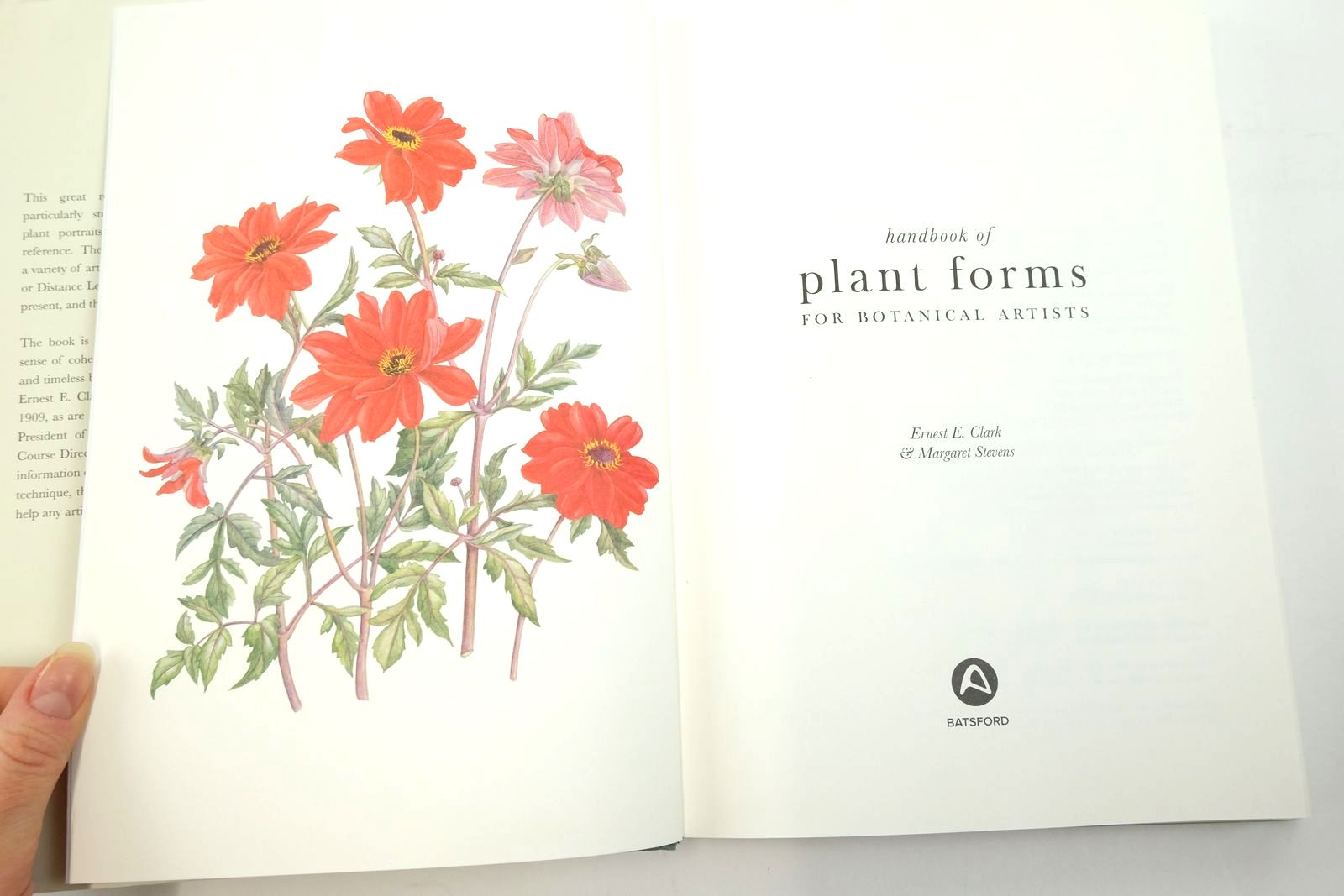 Photo of HANDBOOK OF PLANT FORMS FOR BOTANICAL ARTISTS written by Clark, Ernest E.
Stevens, Margaret published by Batsford (STOCK CODE: 2140222)  for sale by Stella & Rose's Books