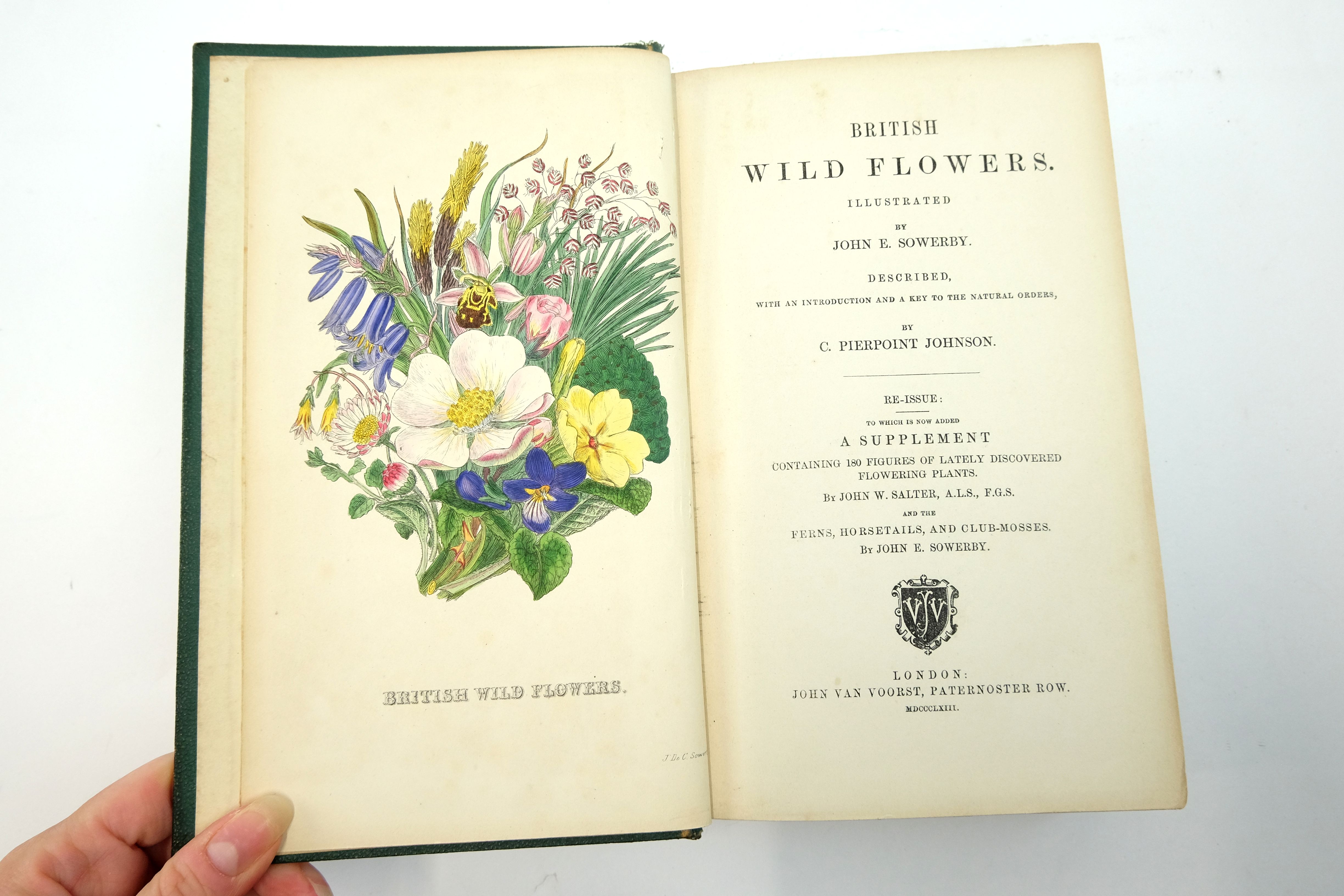 Photo of BRITISH WILD FLOWERS written by Johnson, C. Pierpoint illustrated by Sowerby, John E. published by John Van Voorst (STOCK CODE: 2140438)  for sale by Stella & Rose's Books