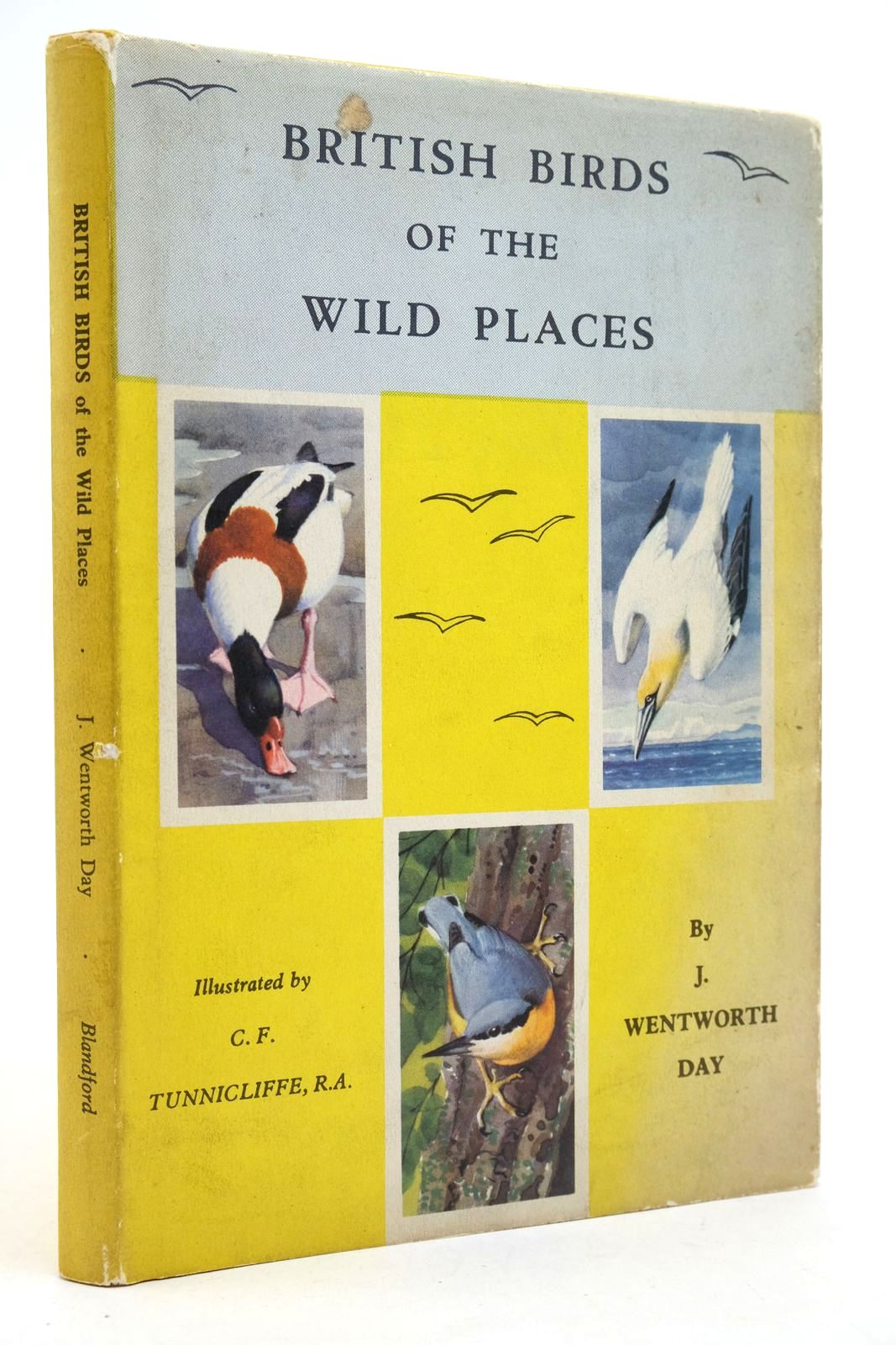 Photo of BRITISH BIRDS OF THE WILD PLACES written by Day, J. Wentworth illustrated by Tunnicliffe, C.F. published by Blandford Press (STOCK CODE: 2140553)  for sale by Stella & Rose's Books