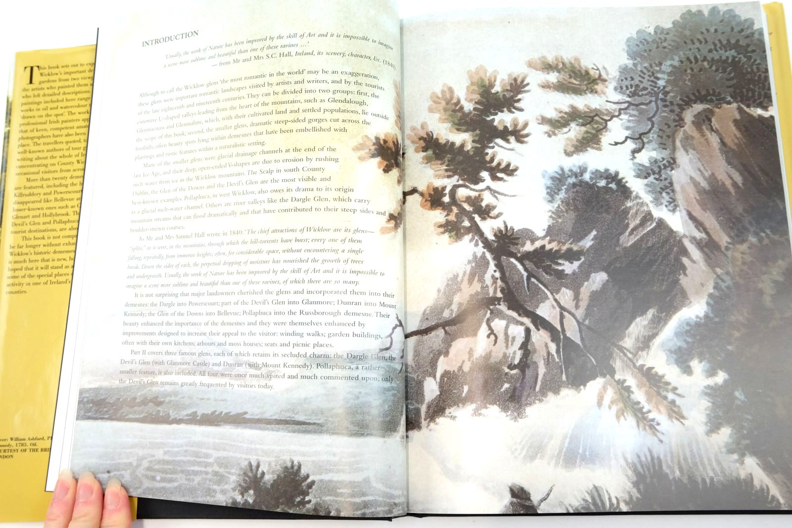 Photo of WICKLOW THROUGH THE ARTIST'S EYE: AN EXPLORATION OF COUNTY WICKLOW'S HISTORIC GARDENS, C. 1660-C. 1960 written by Butler, Patricia
Davies, Mary published by Wordwell Ltd (STOCK CODE: 2140609)  for sale by Stella & Rose's Books