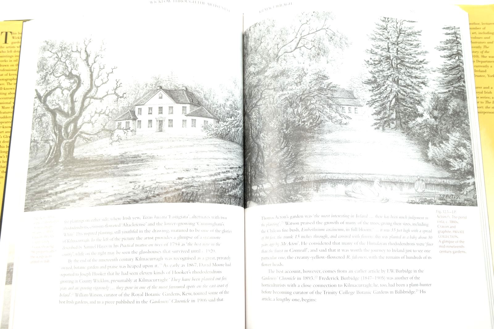 Photo of WICKLOW THROUGH THE ARTIST'S EYE: AN EXPLORATION OF COUNTY WICKLOW'S HISTORIC GARDENS, C. 1660-C. 1960 written by Butler, Patricia
Davies, Mary published by Wordwell Ltd (STOCK CODE: 2140609)  for sale by Stella & Rose's Books