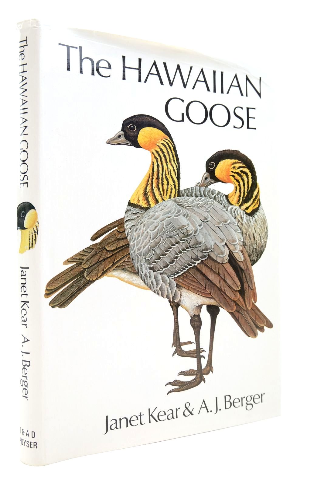 Photo of THE HAWAIIAN GOOSE: AN EXPERIMENT IN CONSERVATION written by Kear, Janet Berger, A. illustrated by Scott, Peter published by T. &amp; A.D. Poyser (STOCK CODE: 2140642)  for sale by Stella & Rose's Books